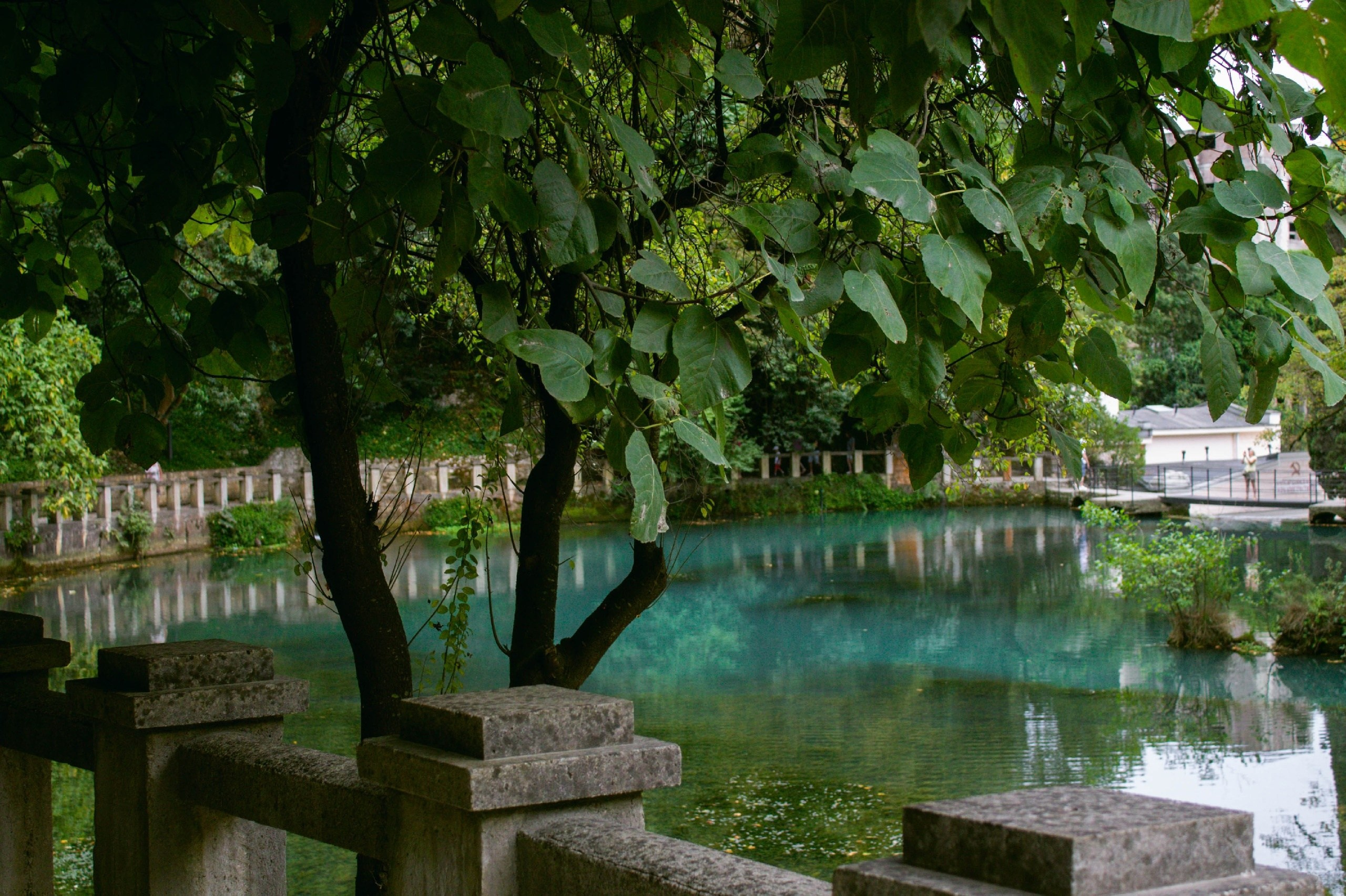 Абхазия. Фотограф и видеограф в Бугульме Аня Трутнева