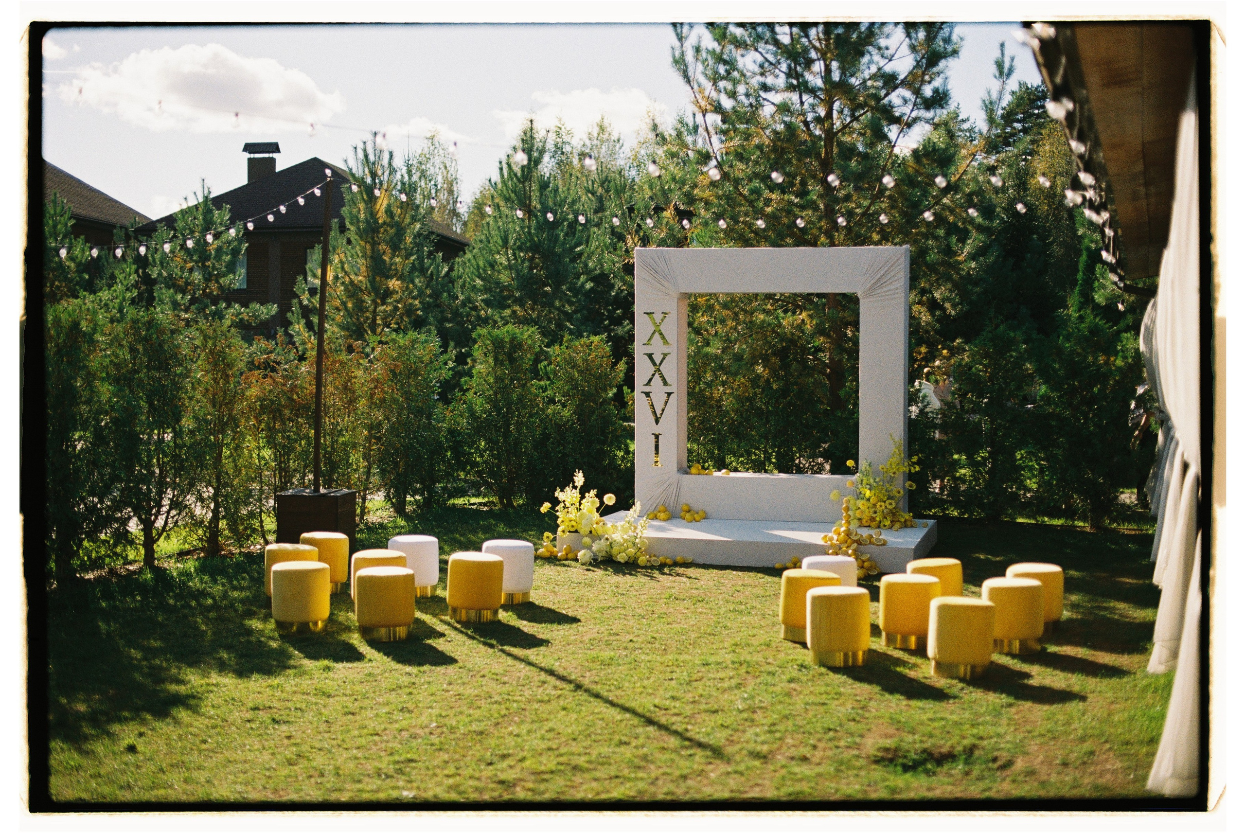 Свадебный фотограф в Москве Александр Мезозой