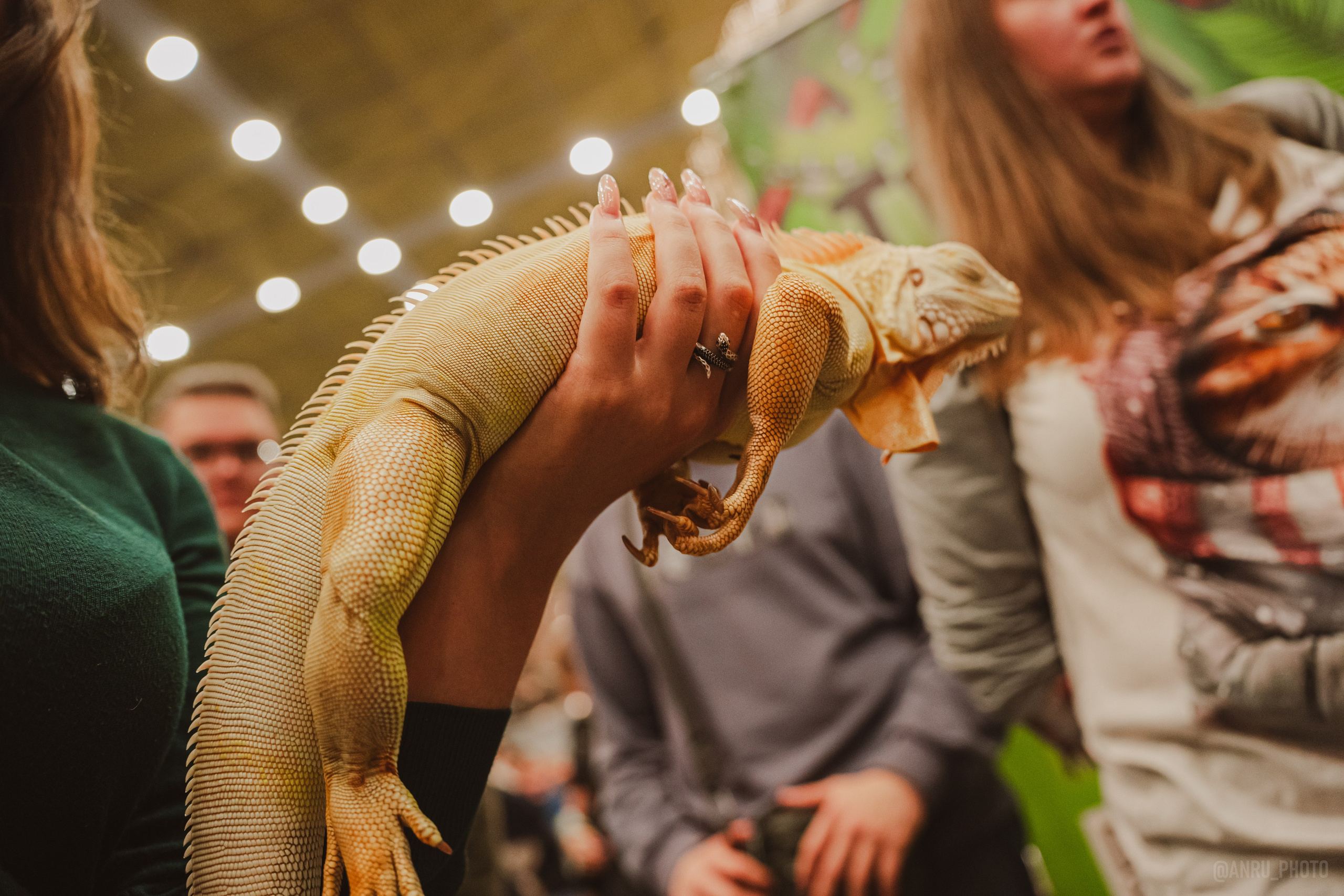 Fox Family fest. Репортажный фотограф Анастасия Рубцова