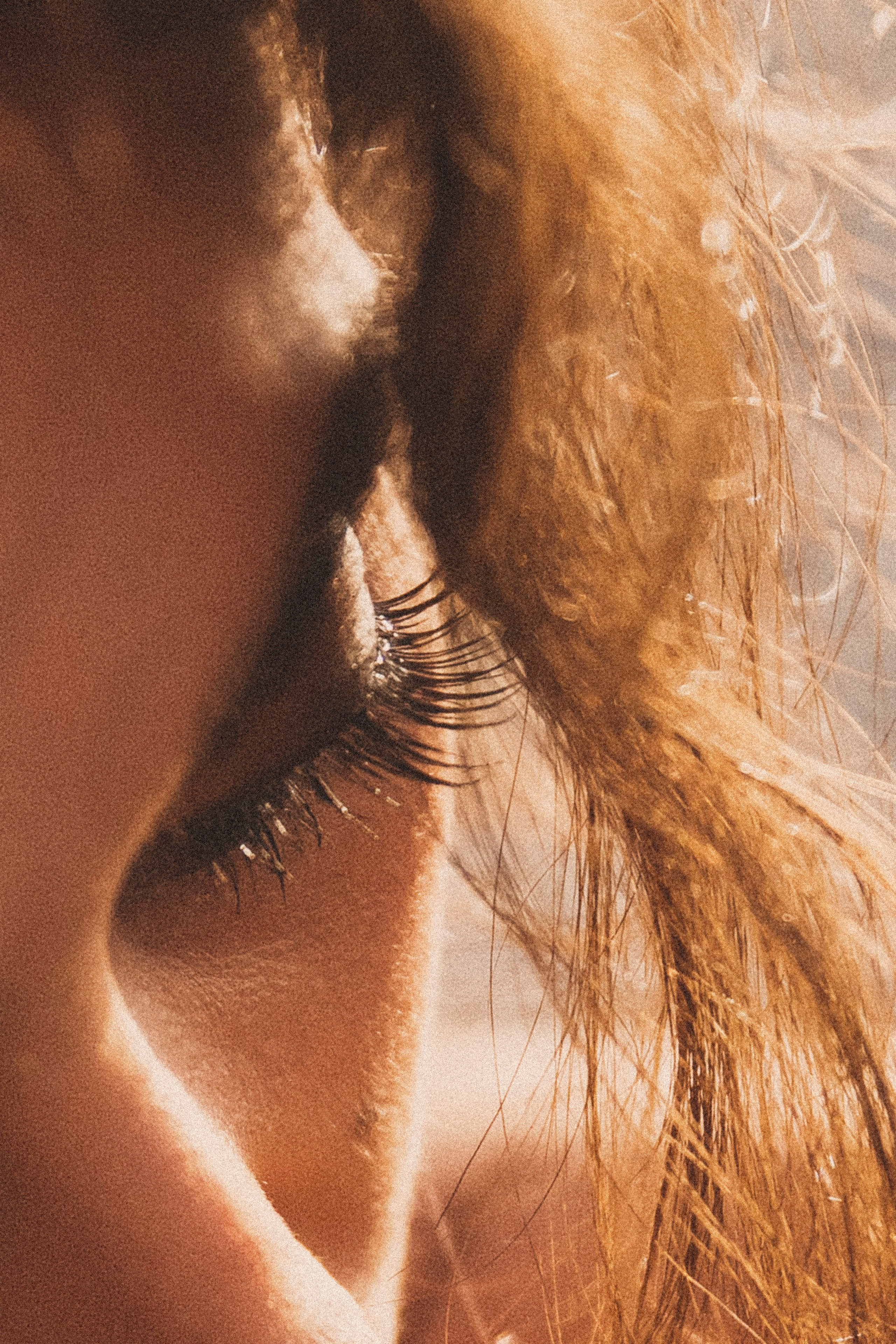 Людмила, лето 2025. Свадебный и семейный фотограф Колоскова Мария (Сочи и весь мир)