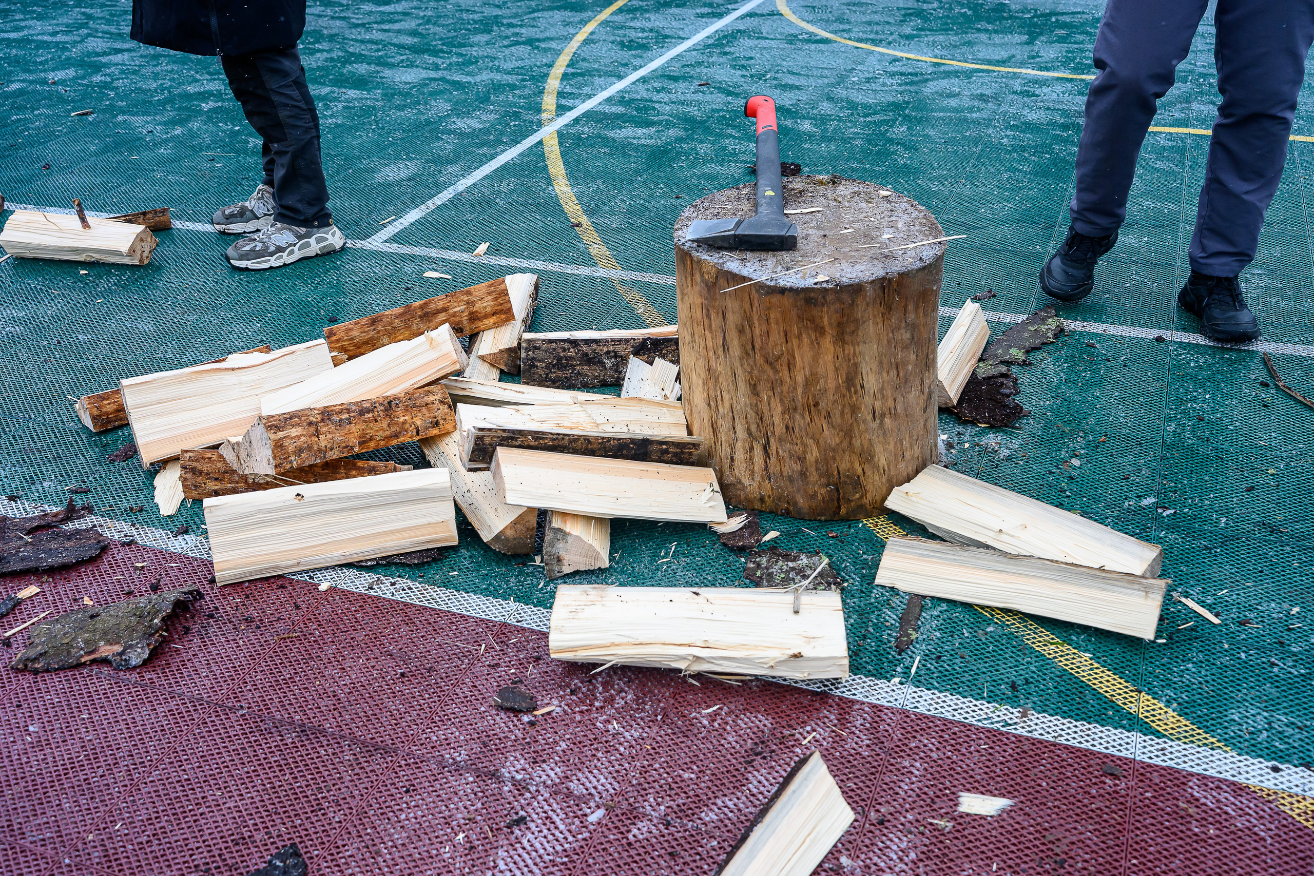 Зимняя спартакиада УД. Фотоуслуги, услуги фотографа, фотографирование важных событий