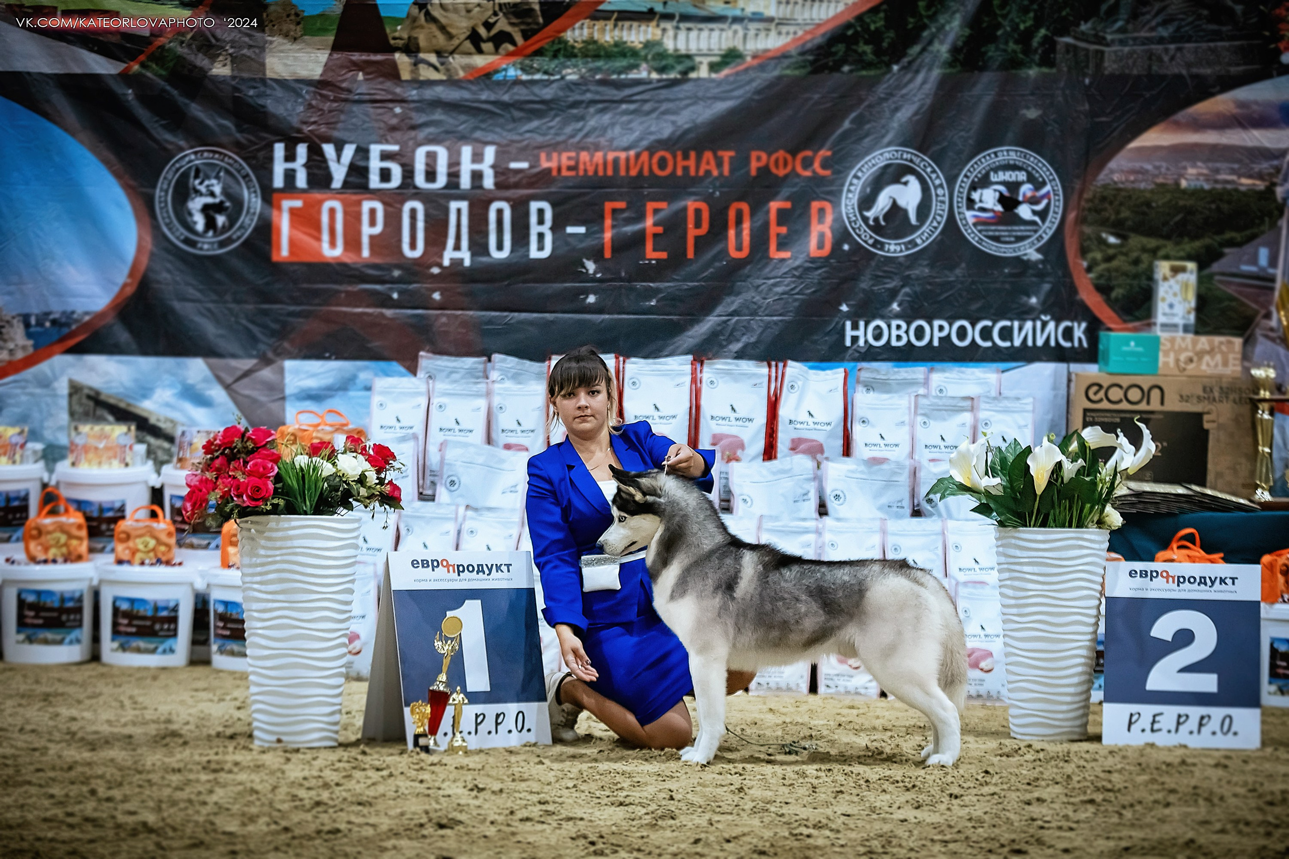 Фотосъемка собак, щенков, на выставках, фотограф анималист Россия воронеж. Питомник собак Акита, Хаски, Корги