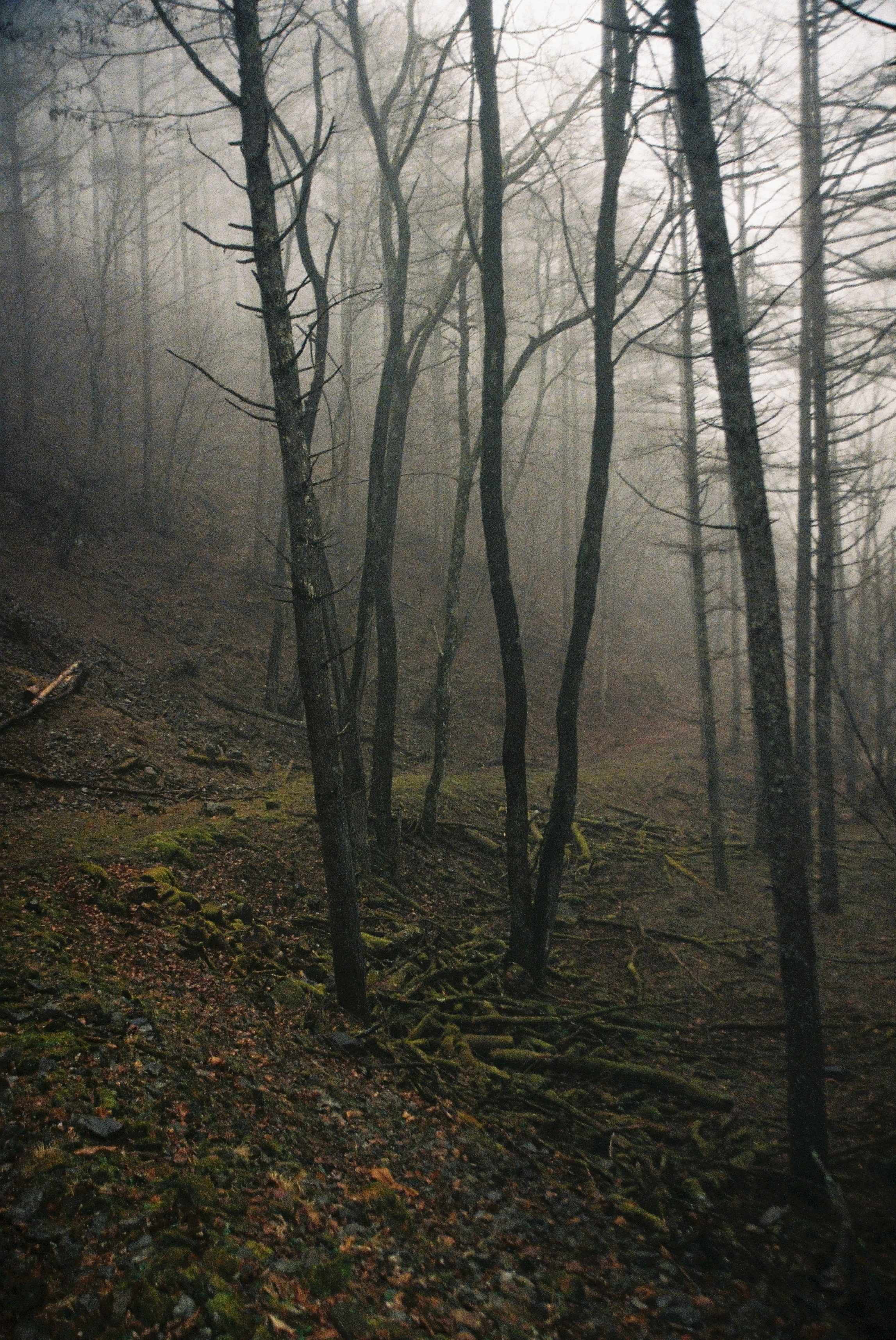 Kodak Ultramax, Мацумото, Япония