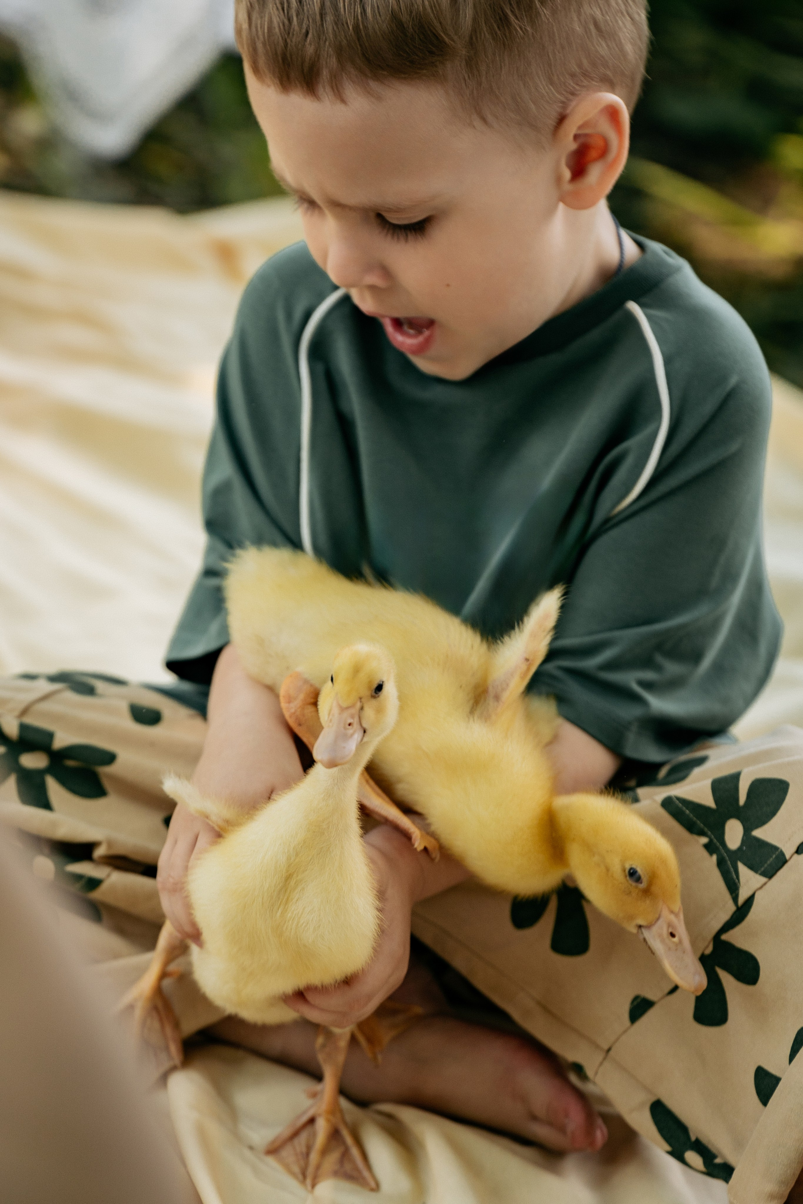 Малыша испугали утята, семейная фотосессия на природе, фотограф Кучугуры