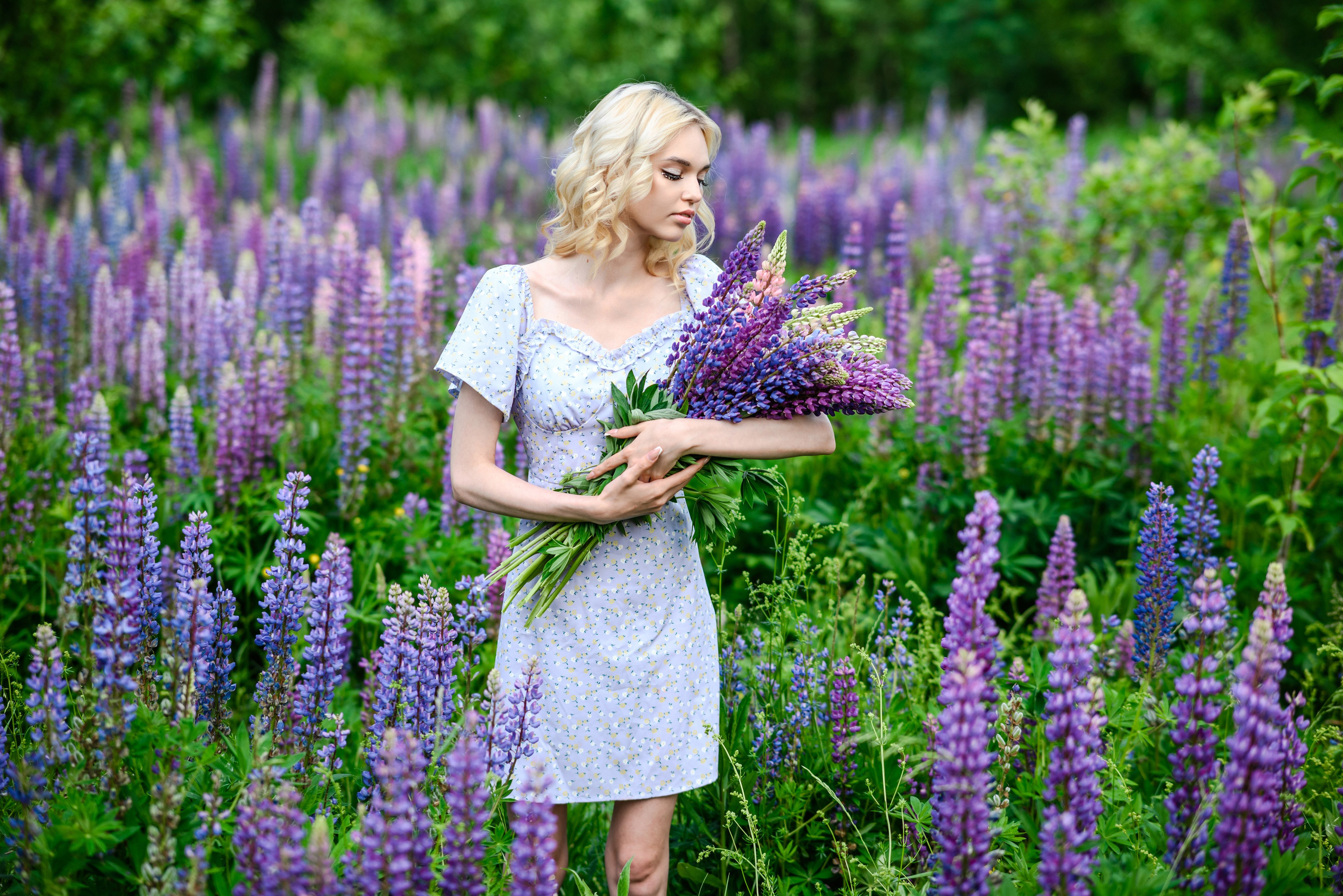 Владлена в люпинах. Свадебный и семейный фотограф в Дзержинске Екатерина Шулакова