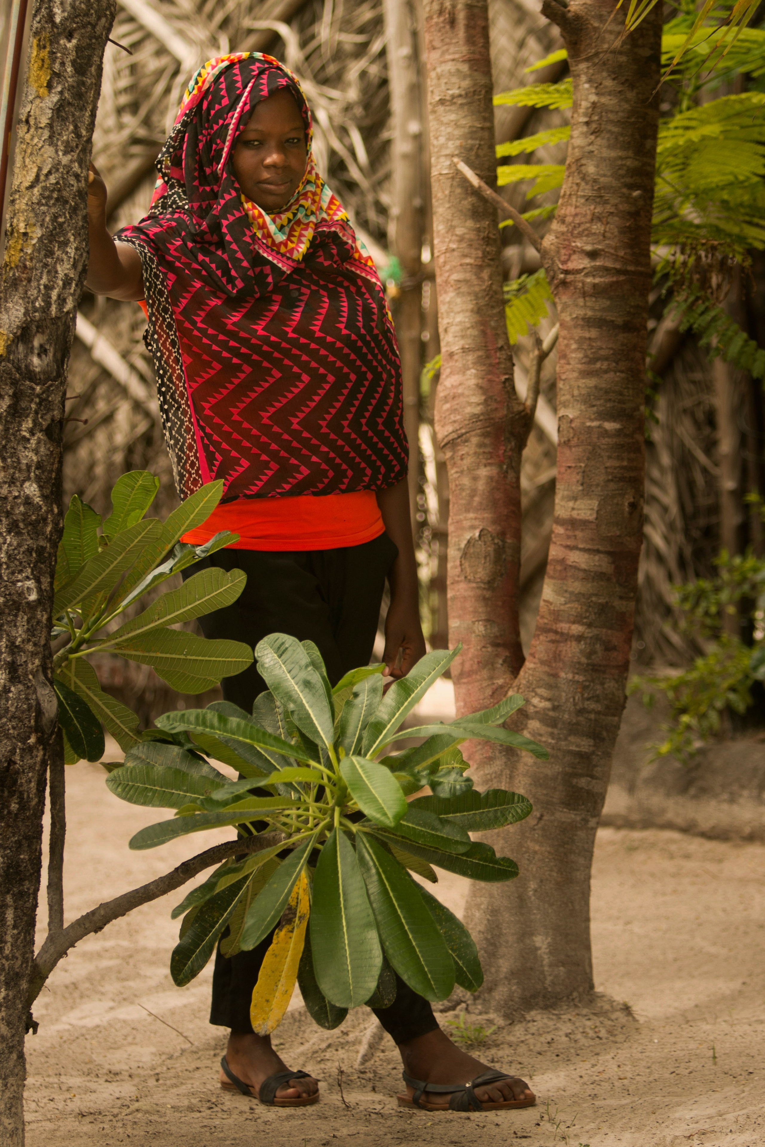 Прогулка. Фотограф Лагутин Анатолий