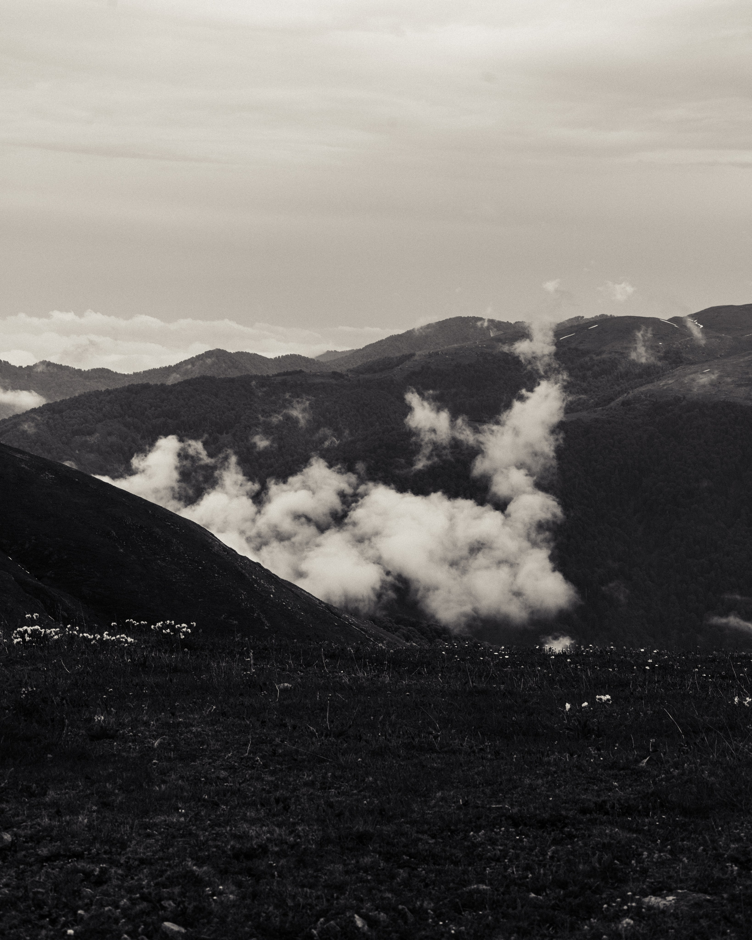 ГОМИС МТА. Photographer Barcelona