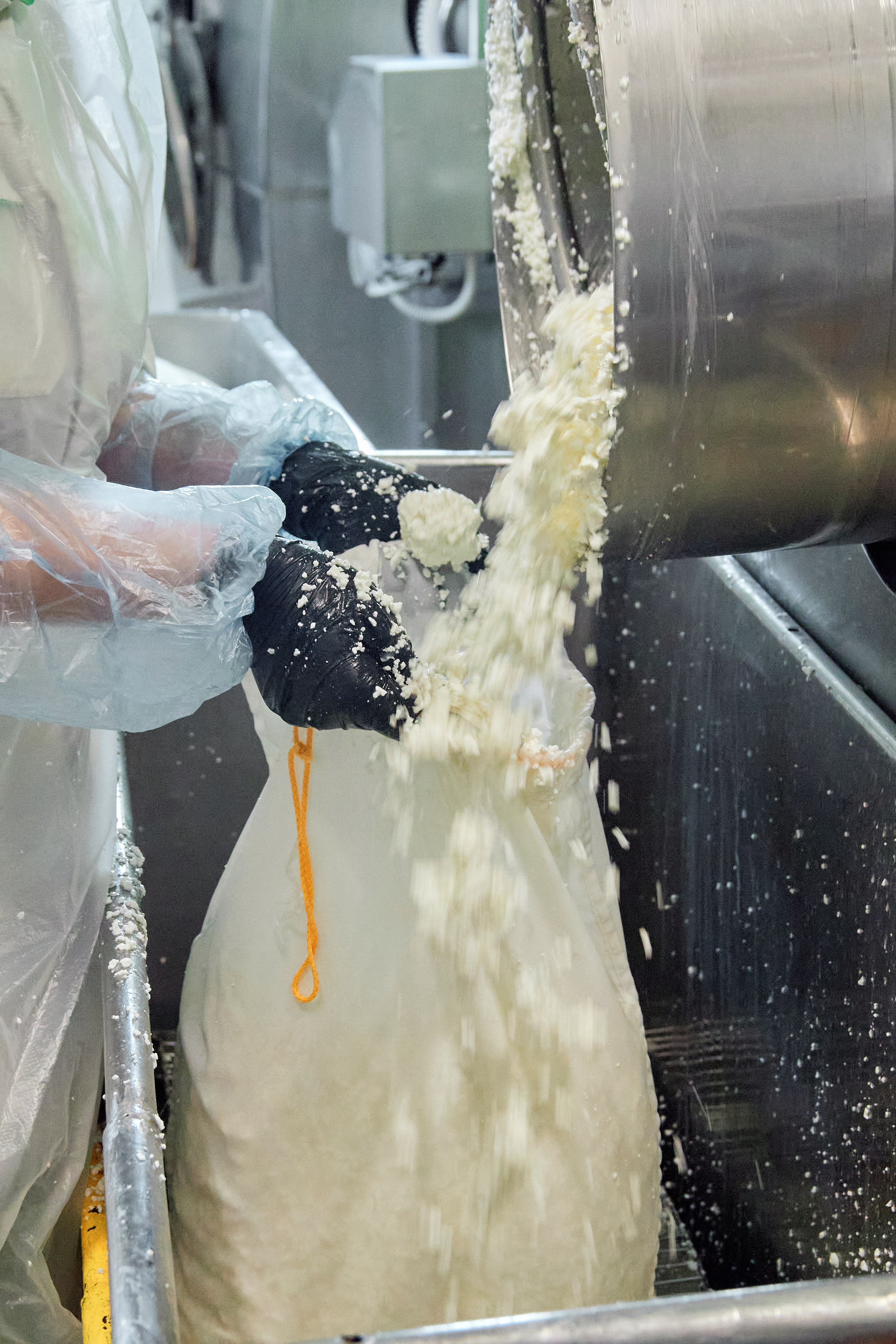 Экскурсия «Агроферма-Катынь». Фотограф в Смоленске Ася Польшина