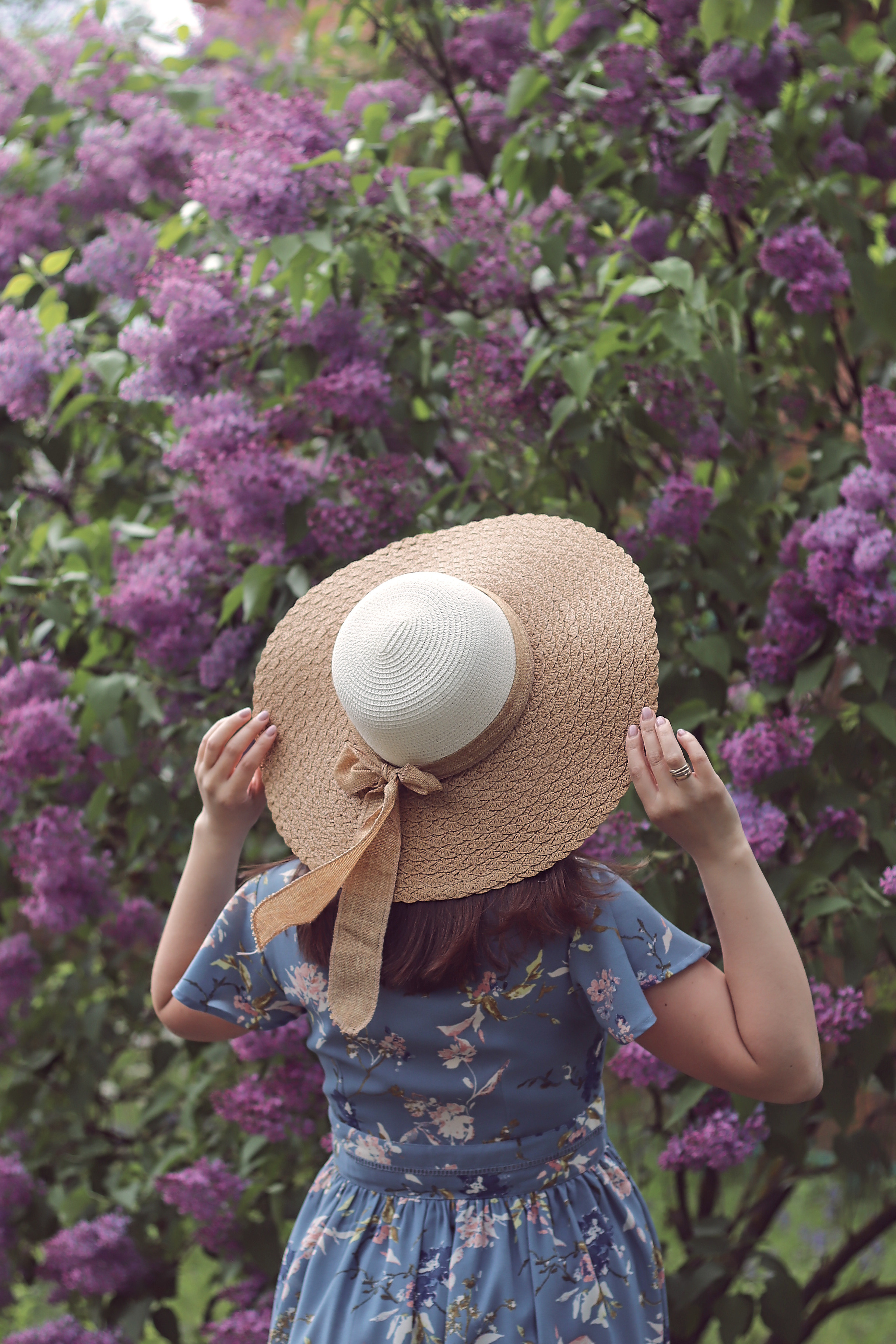 Цветущая весна