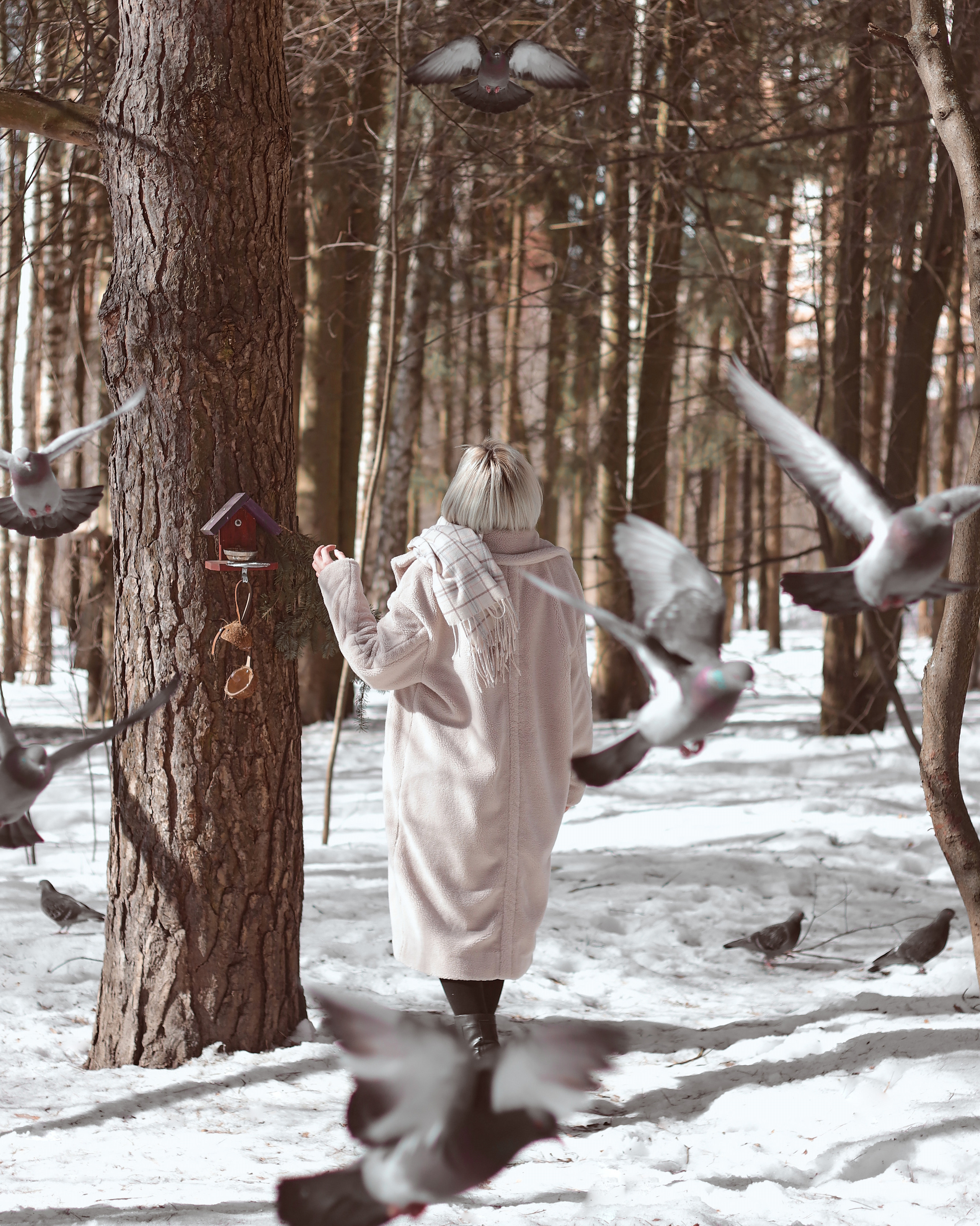 Волшебная зима