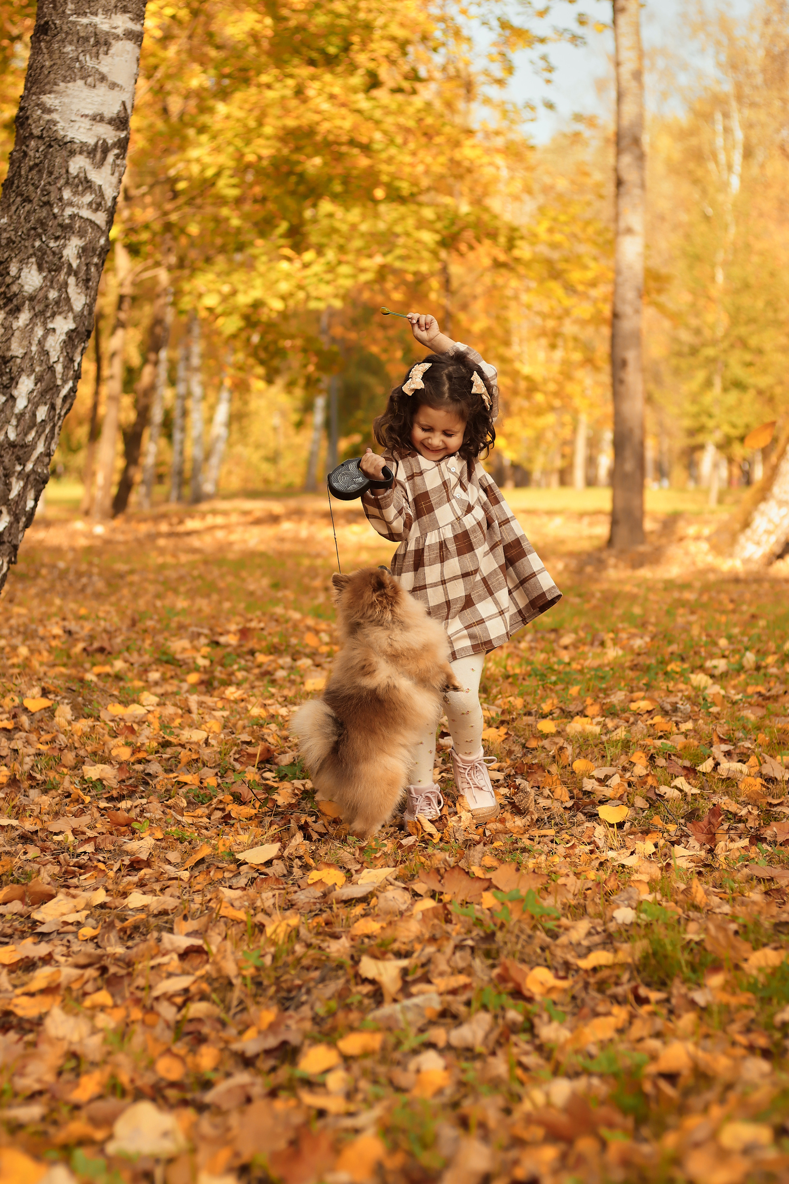 Уютная осень