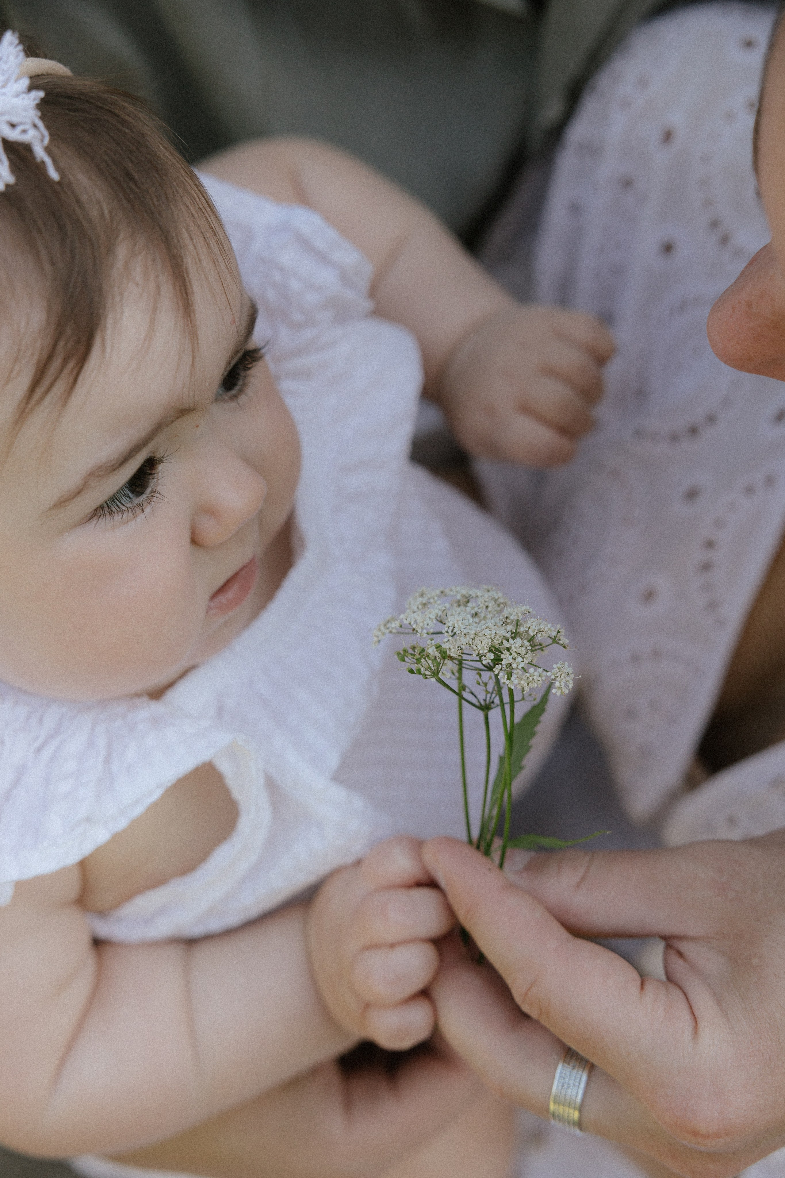 Сергей + Ира + Аня. Семейный и детский фотограф Юлия Шох