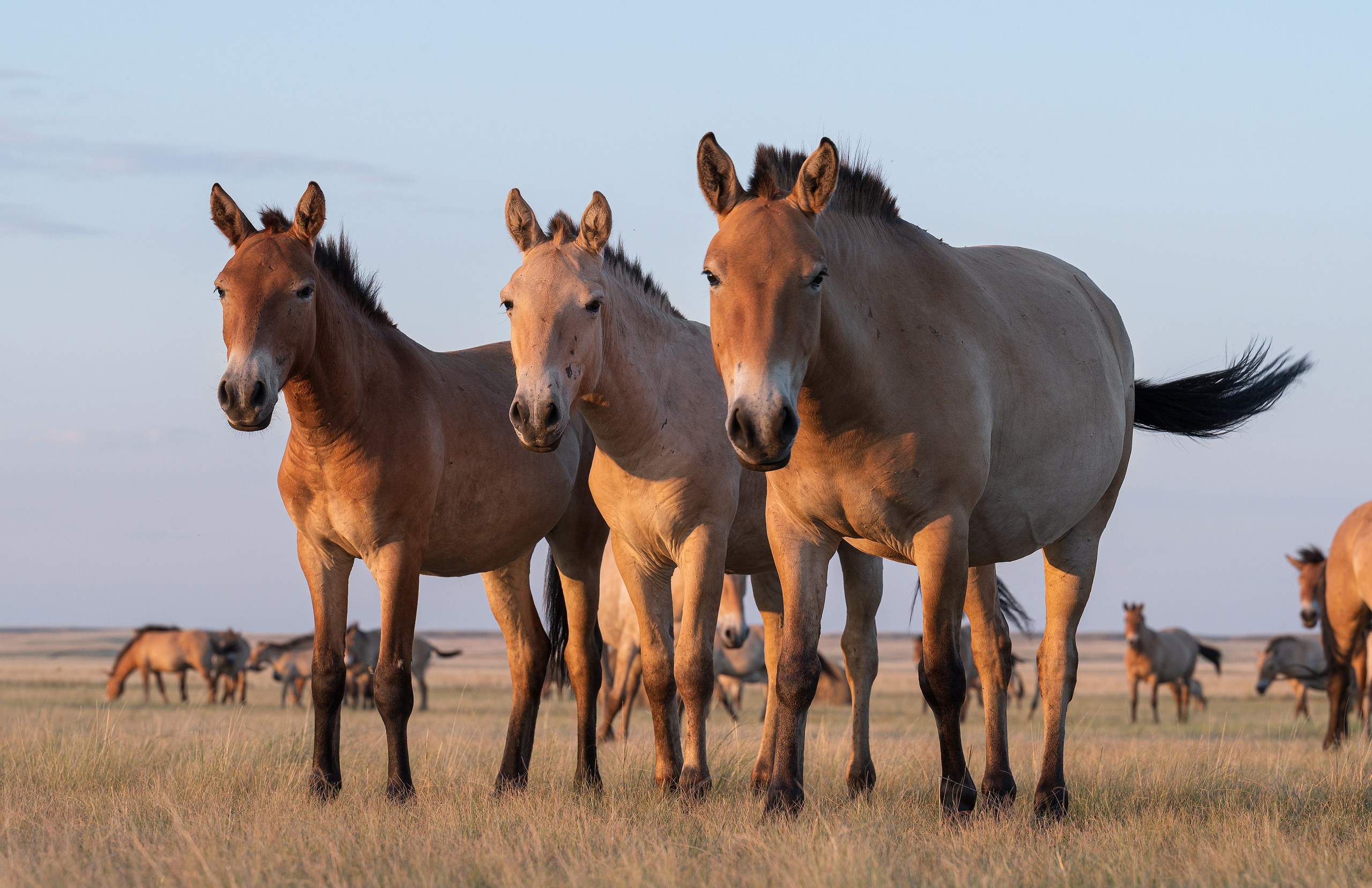 В природе. Портретный фотограф в Челябинске Катерина Руди