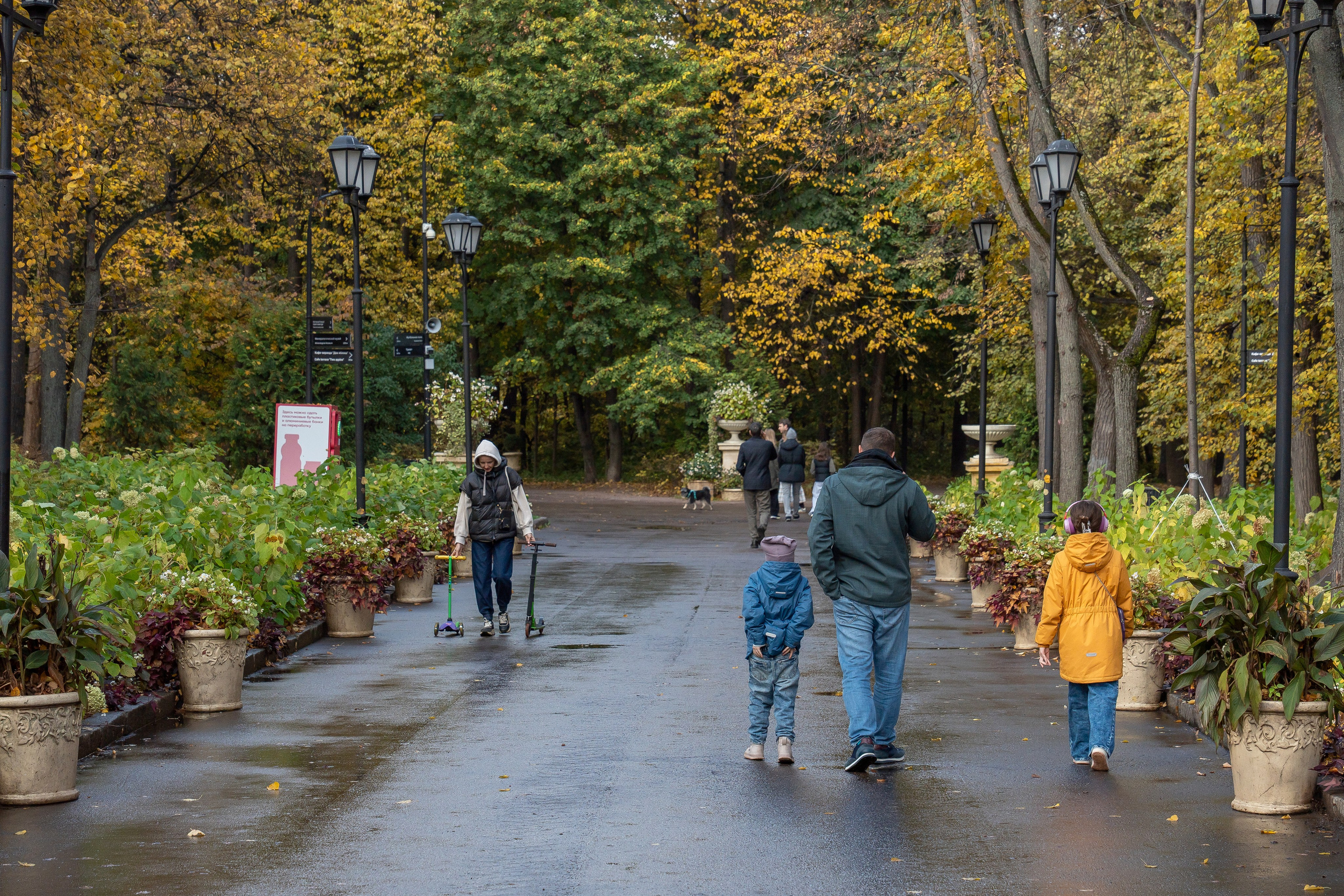 20251011 Нескучный сад. Дмитрий Ремизов. Фотография, как хобби