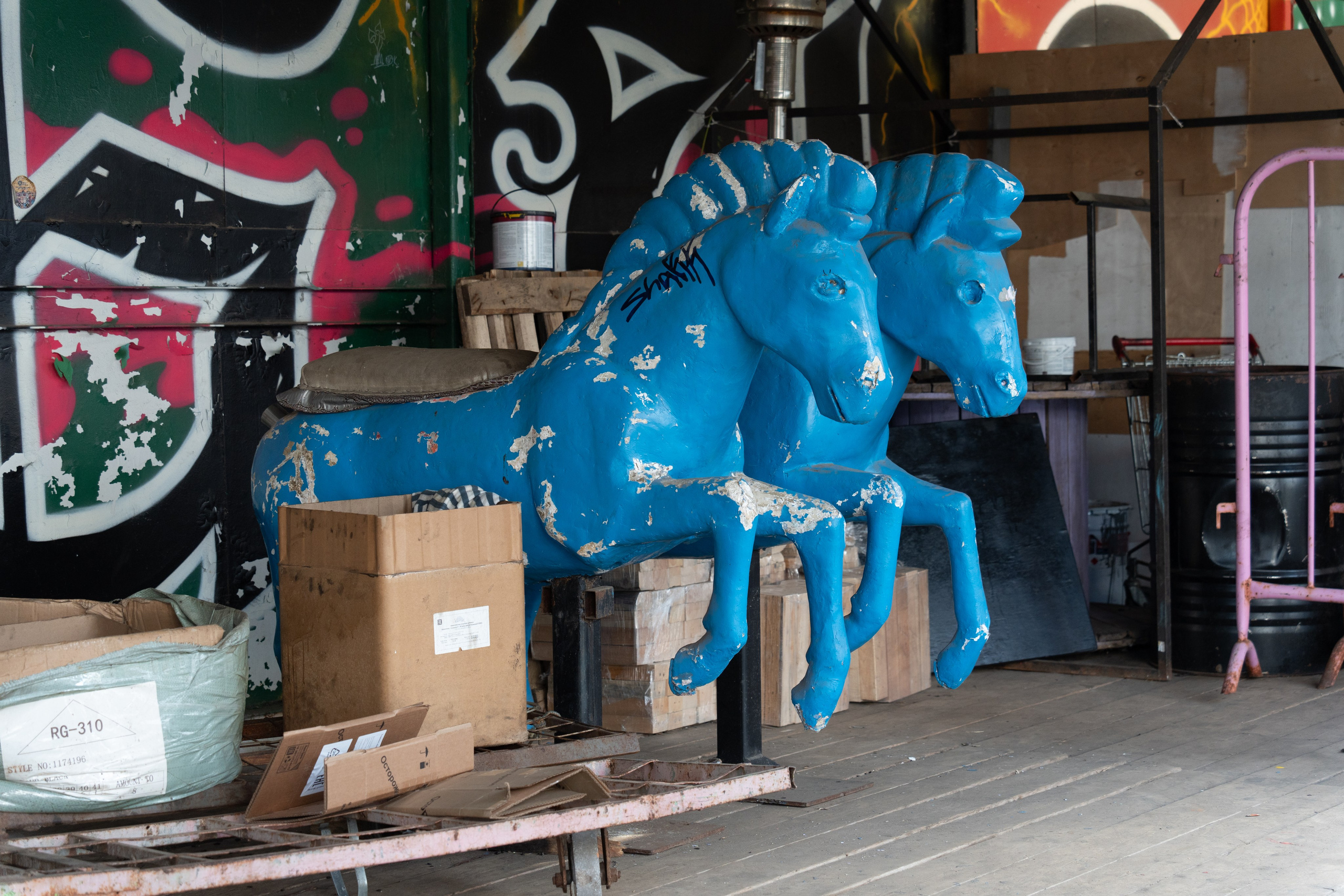 20250817 Измайлово. Дмитрий Ремизов. Фотография, как хобби