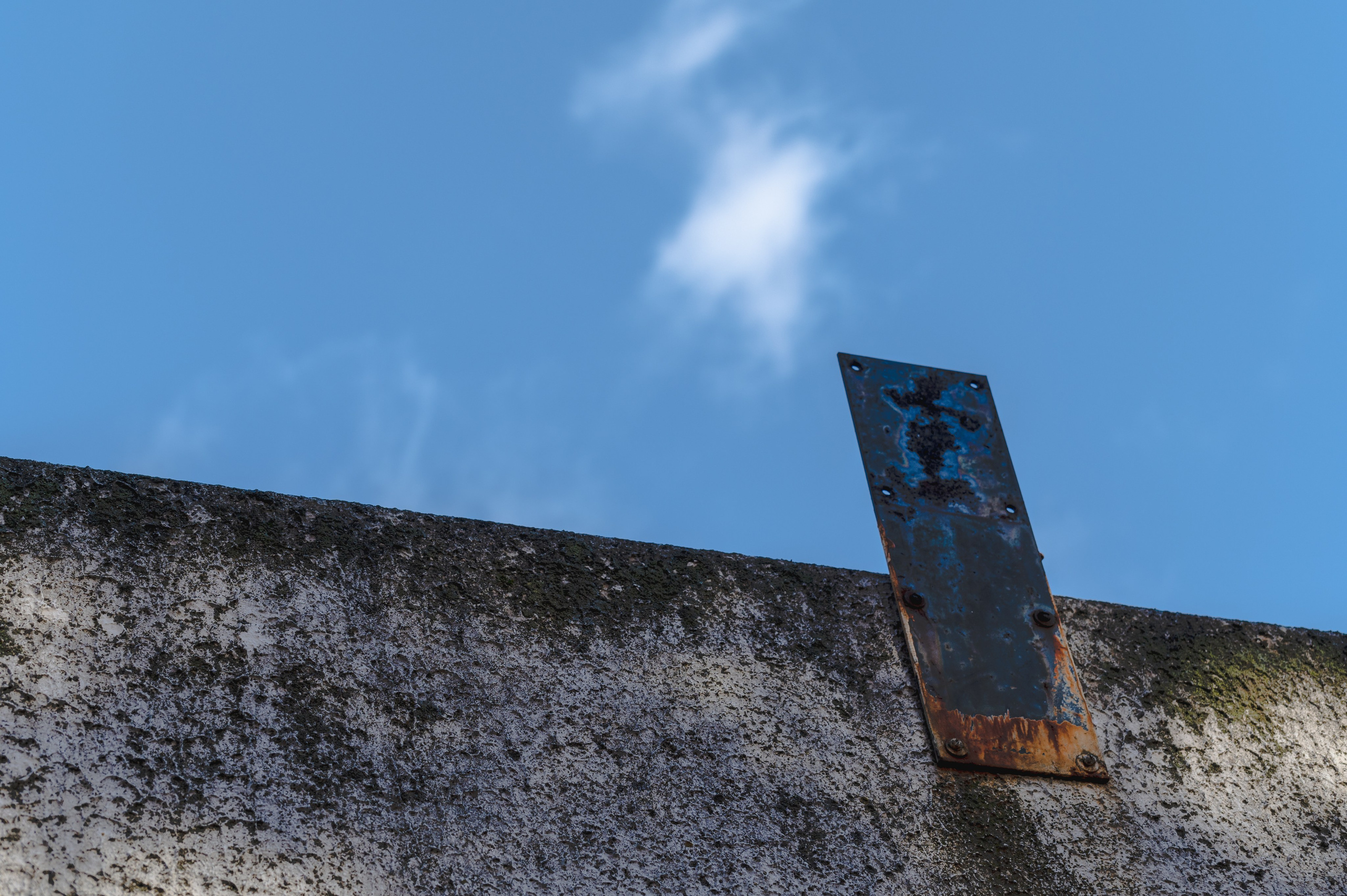 20241102 МГУ. Дмитрий Ремизов. Фотография, как хобби