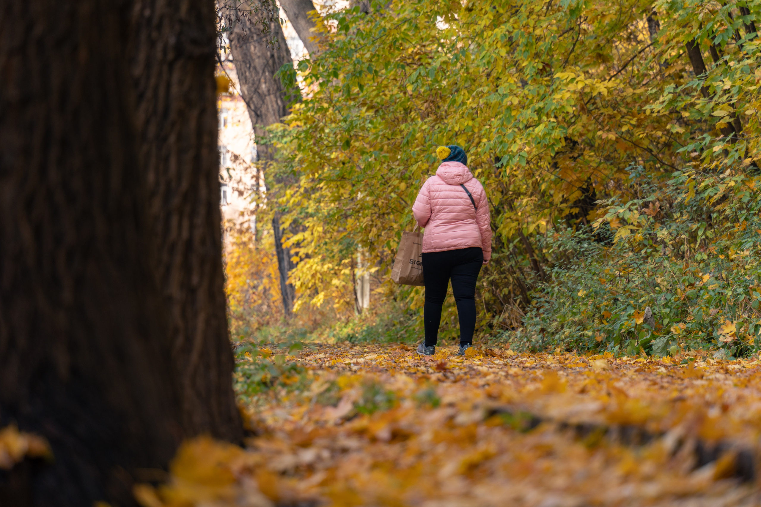 20251011 Нескучный сад. Дмитрий Ремизов. Фотография, как хобби