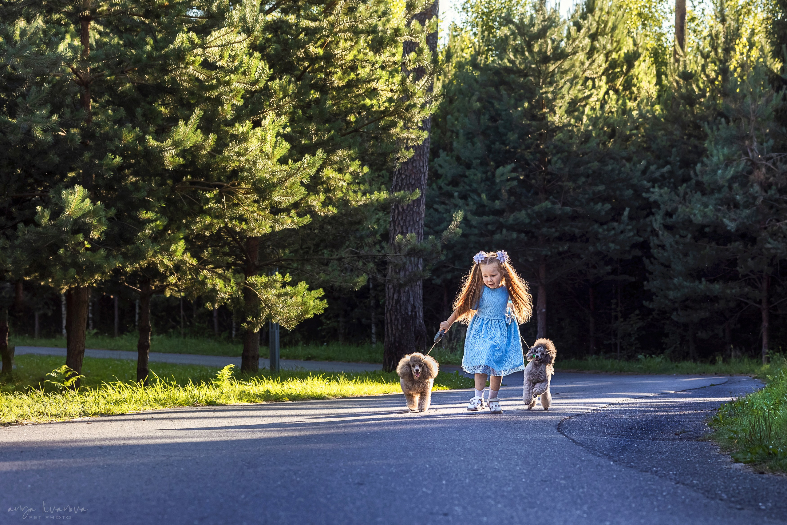Дёмино. Фотограф анималист Аня Ливанова | Рыбинск