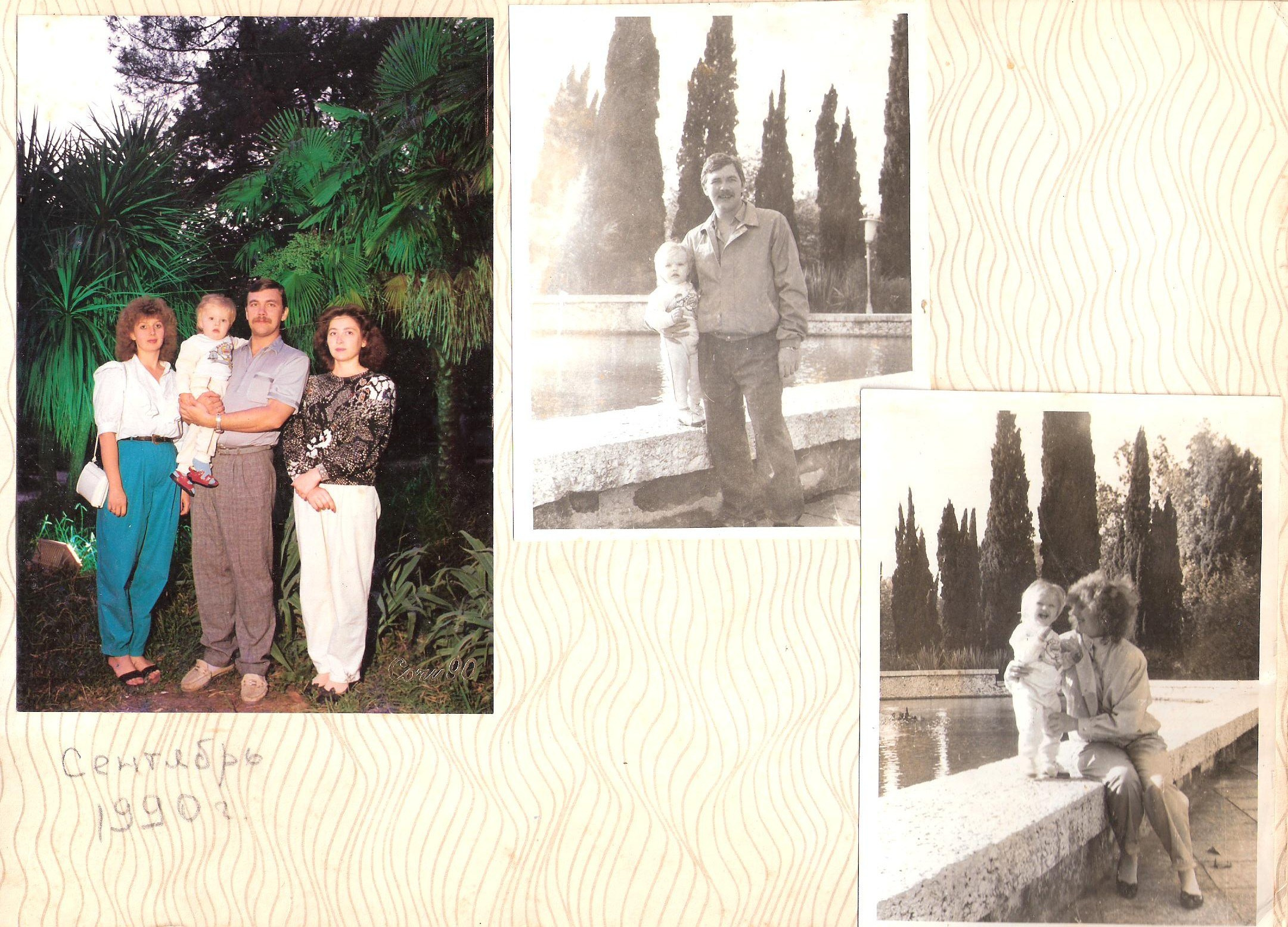 Фотография с пальмой. Курортное дело