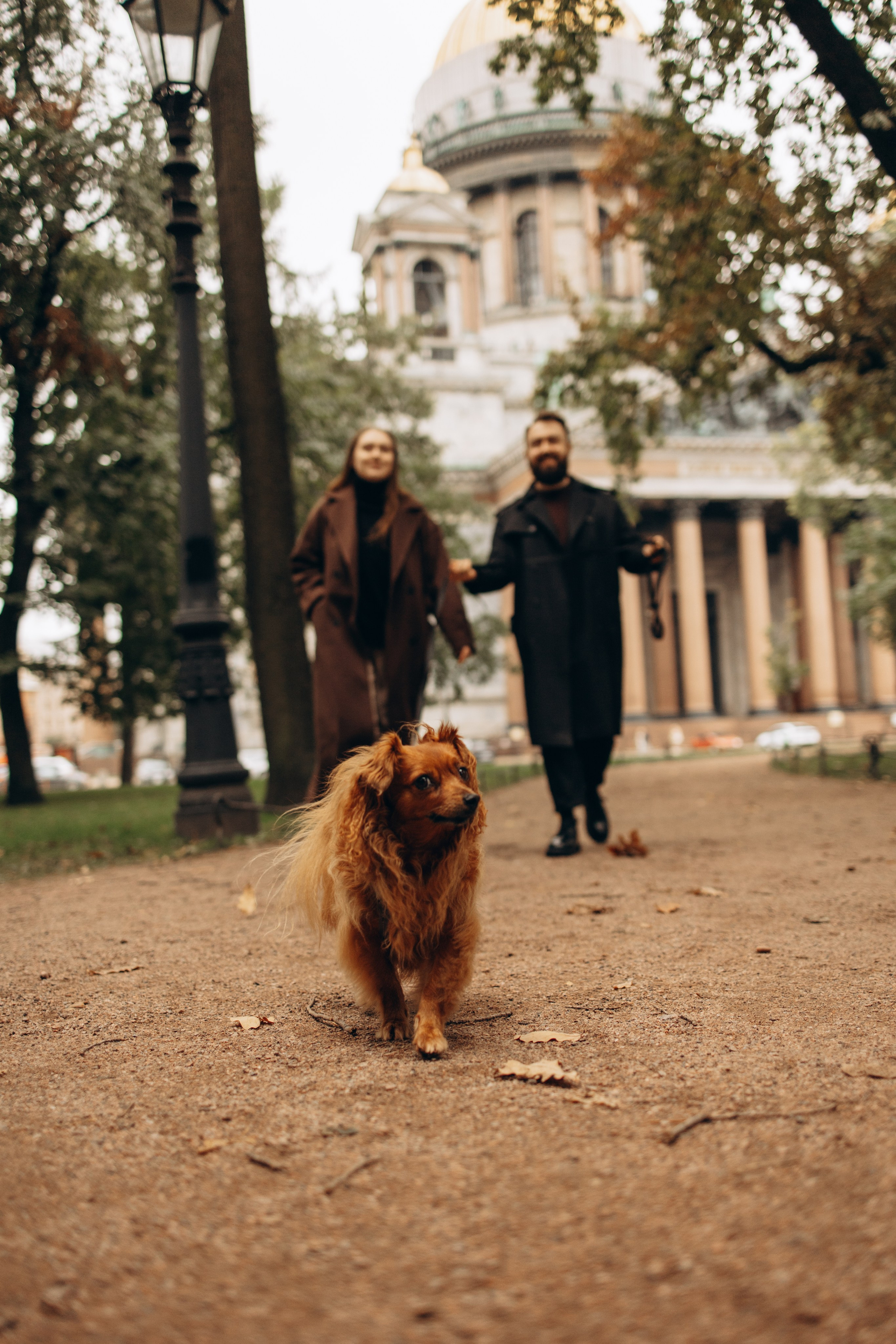 Жу и ее семья. Фотограф — Анималист | Санкт-Петербург