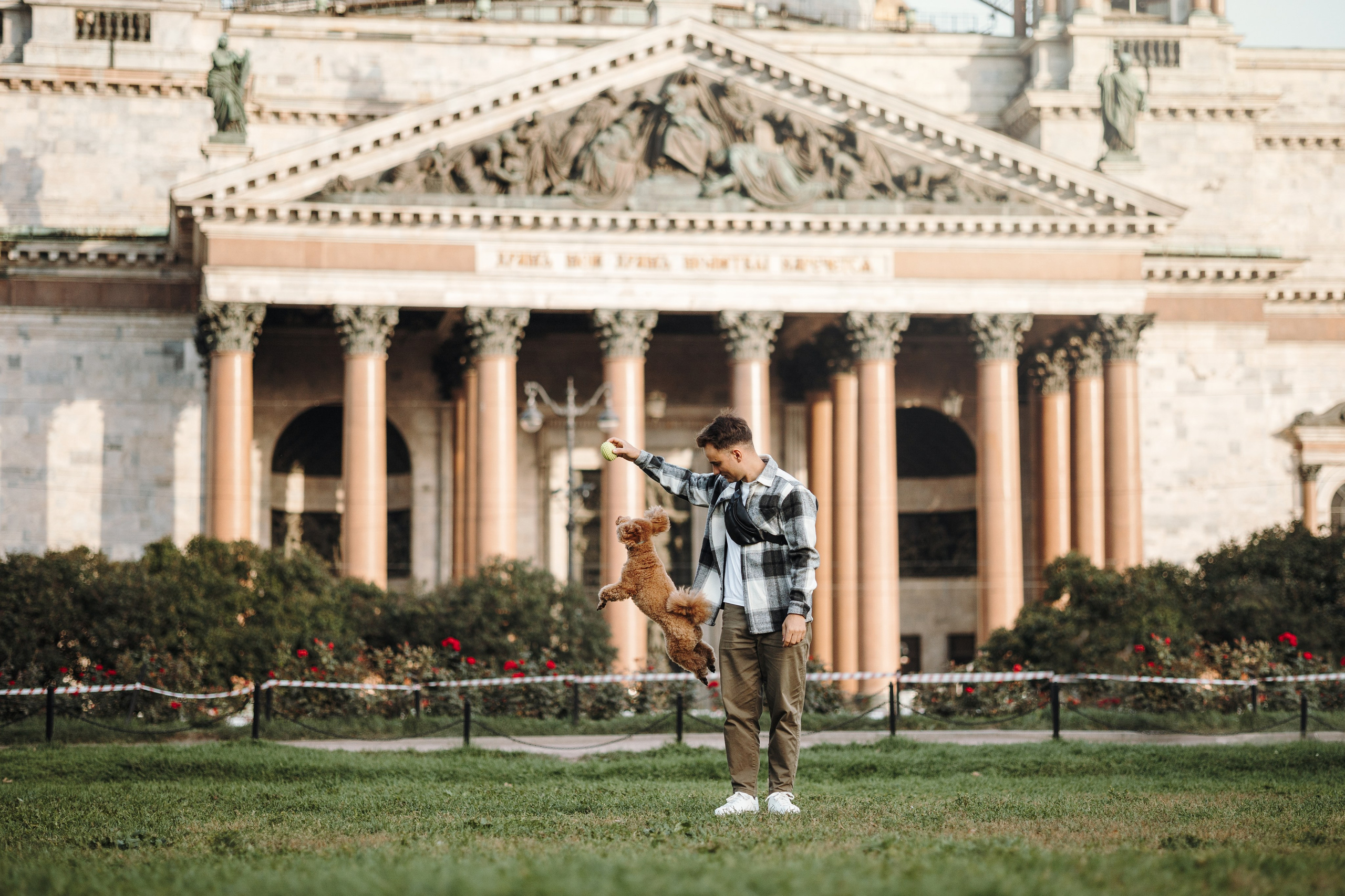 Барни и его семья. Фотограф — Анималист | Санкт-Петербург