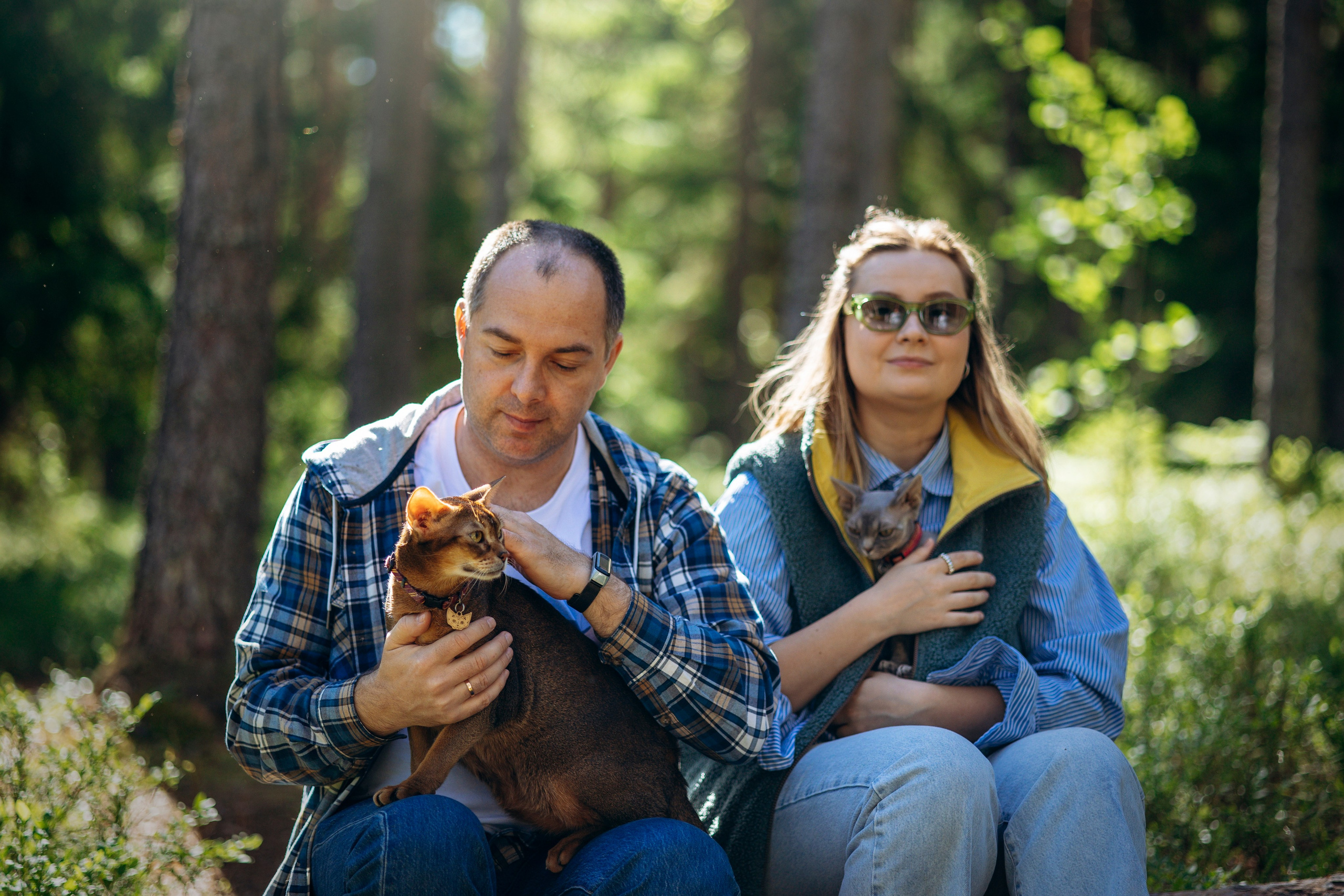 Котофеи и их семья. Фотограф — Анималист | Санкт-Петербург