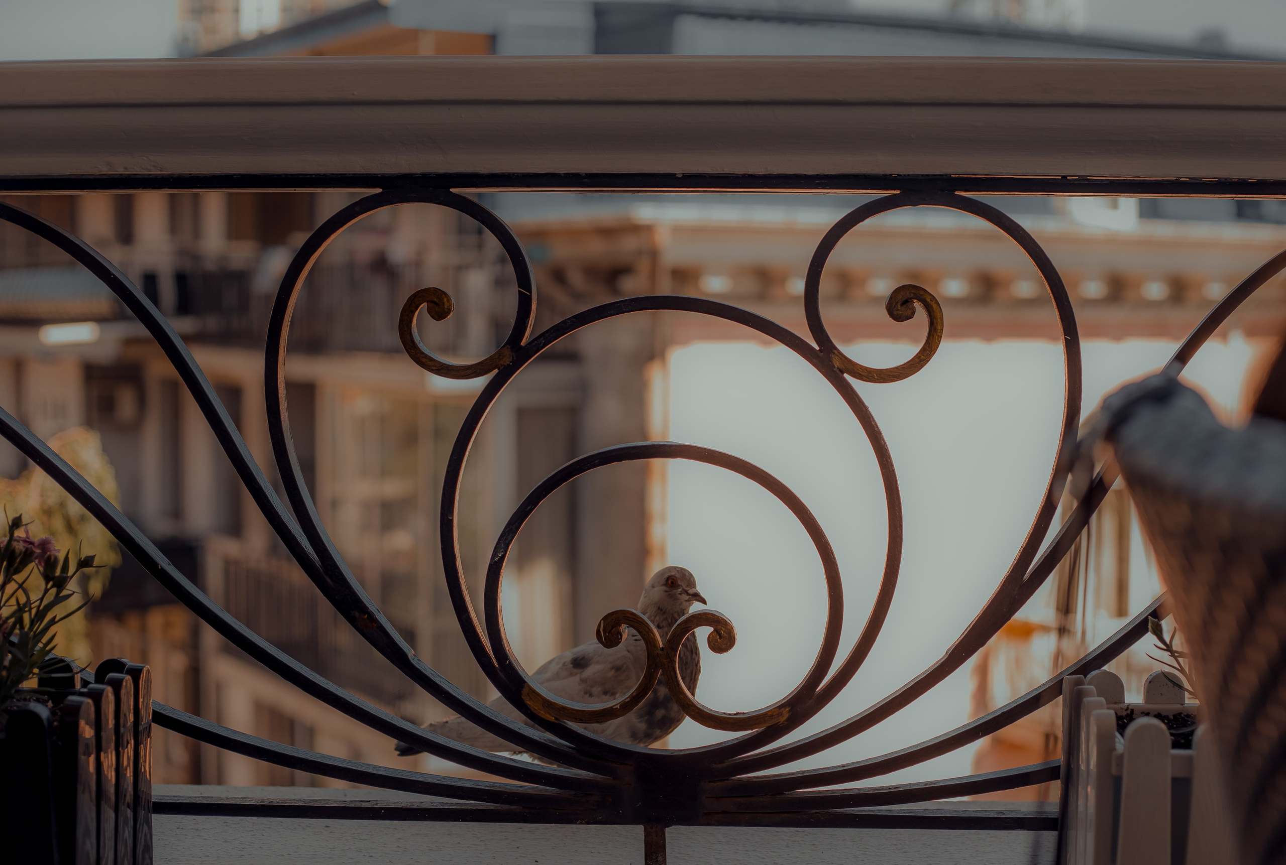 Georgia, Batumi. Art Photographer