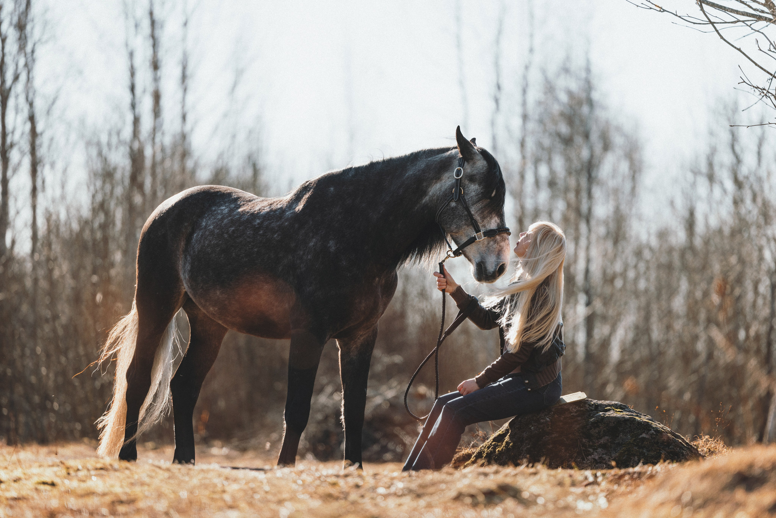Ирина и Командор. Фотограф анималист Осипчикова Мария