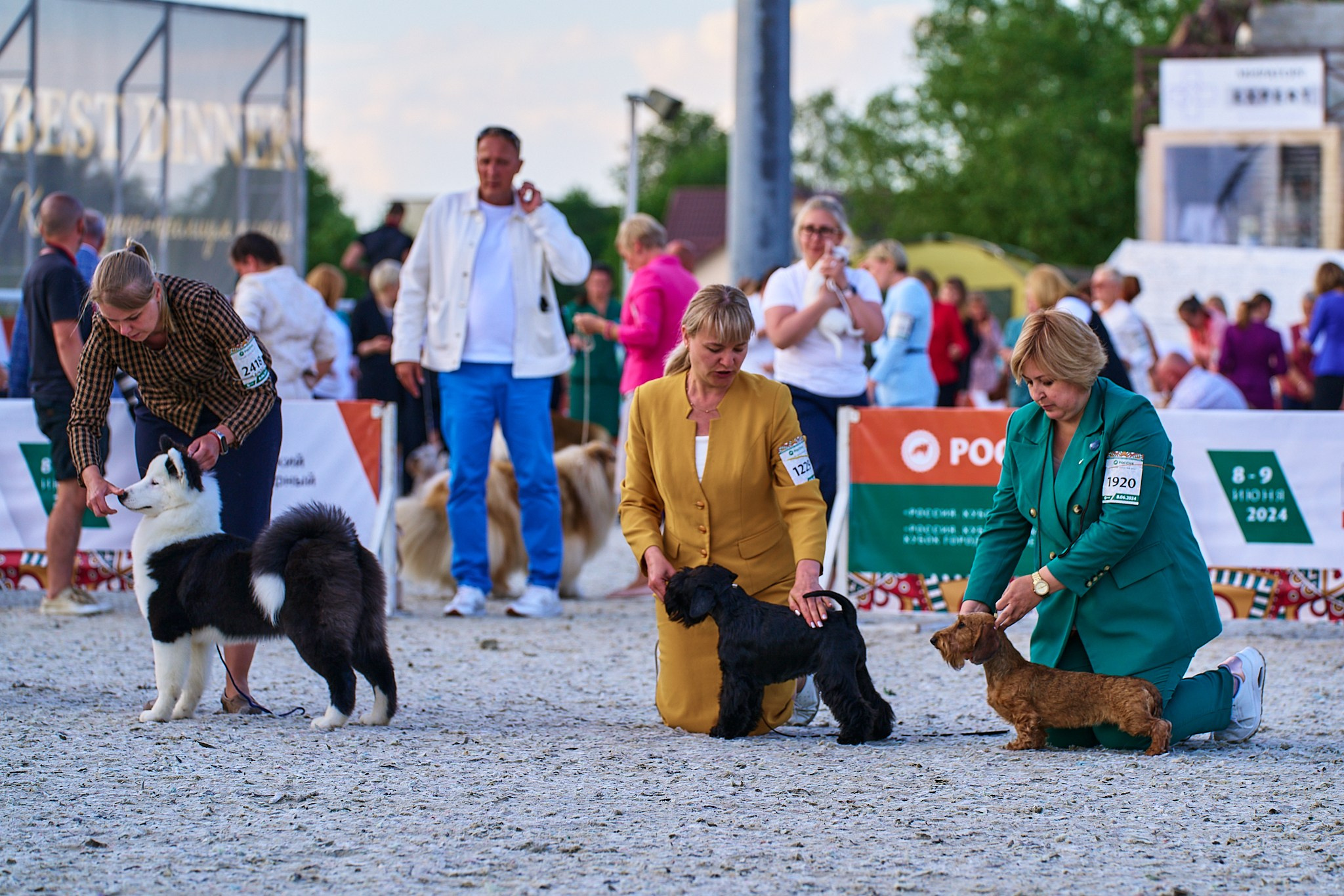 08.06.2024 «РОССИЯ. КУБОК РКФ 2024»