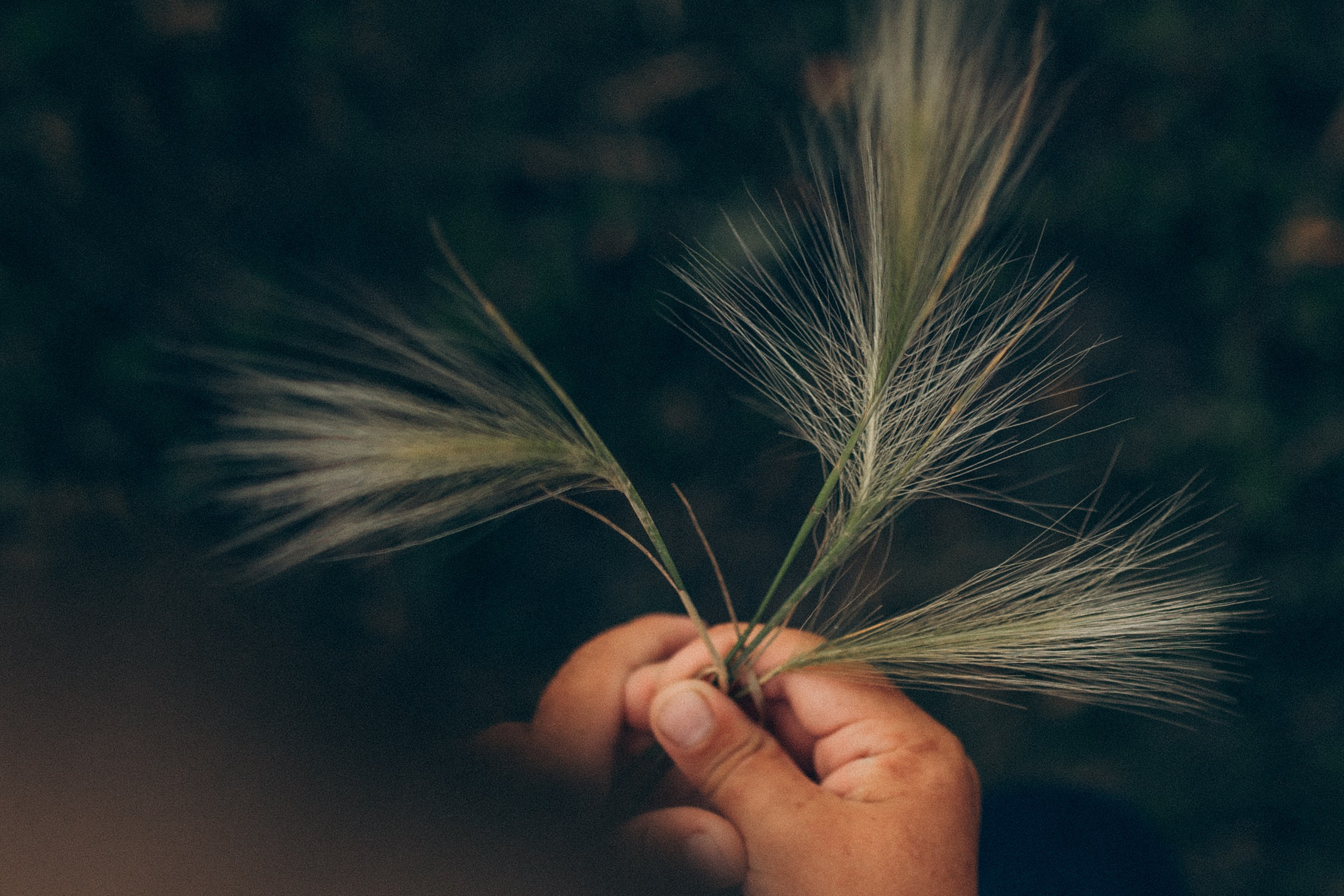 Летняя история. Семейный фотограф lifestyle в Новосибирске Елена Шпилевая