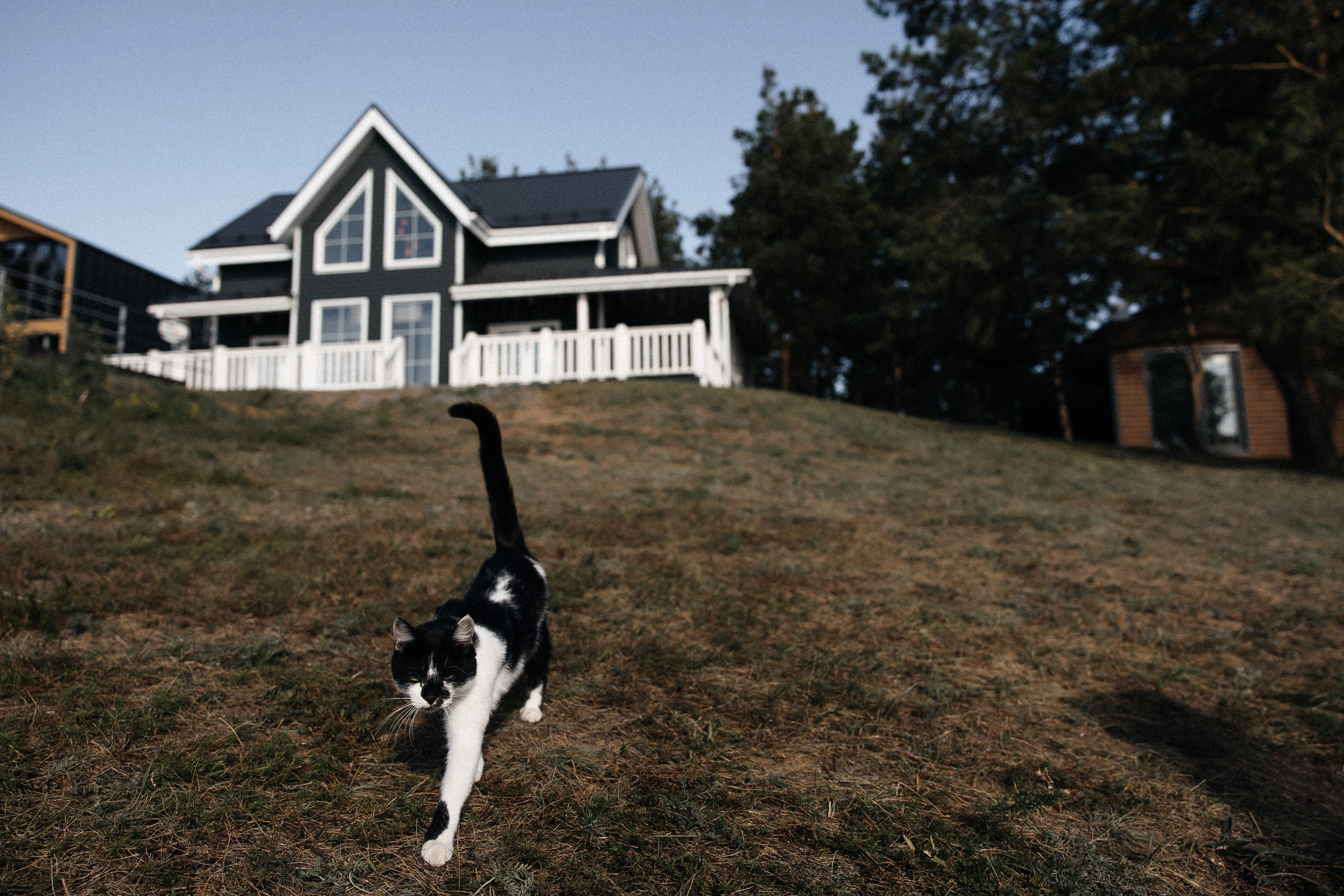 Это слишком личное, извините!. Свадебный фотограф в Ульяновске Владимир Лесников