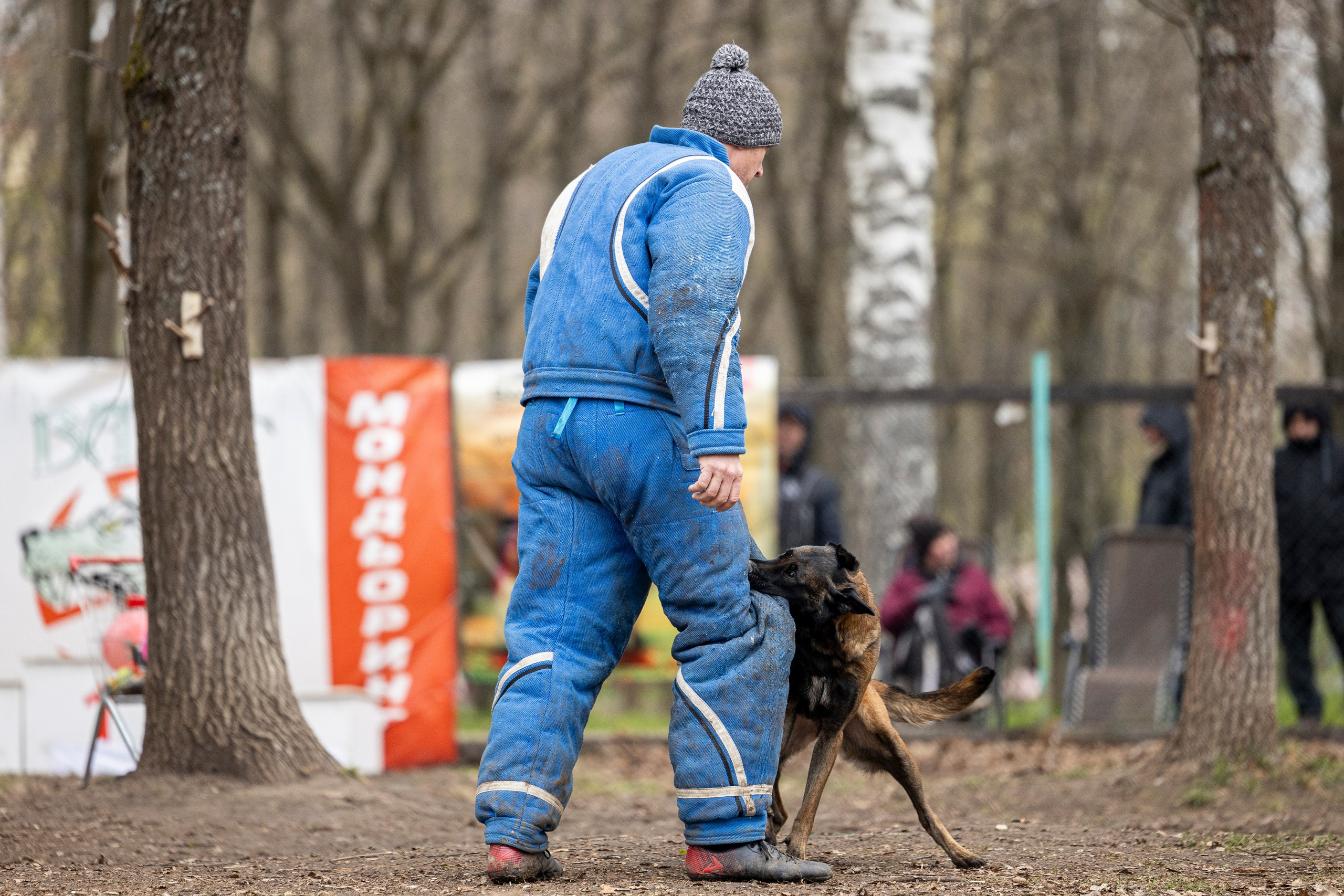 Квалификационные состязания по мондьорингу г. Вологда 11.05.24. Фотограф-анималист Анна Маринич