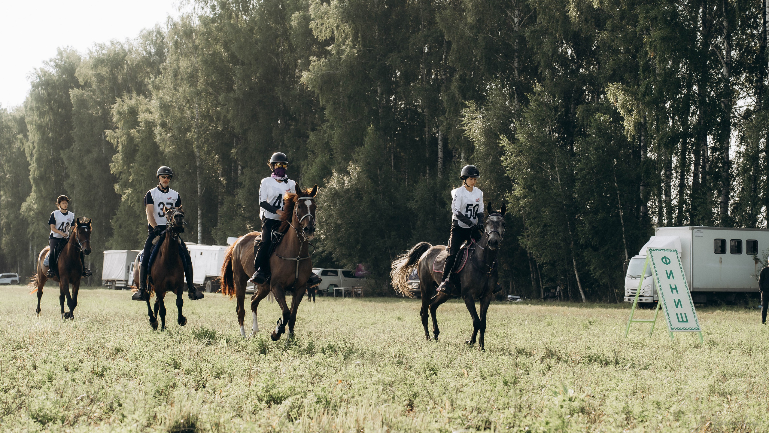 День Коня. Алиса Никитцова | Фотограф в Казани