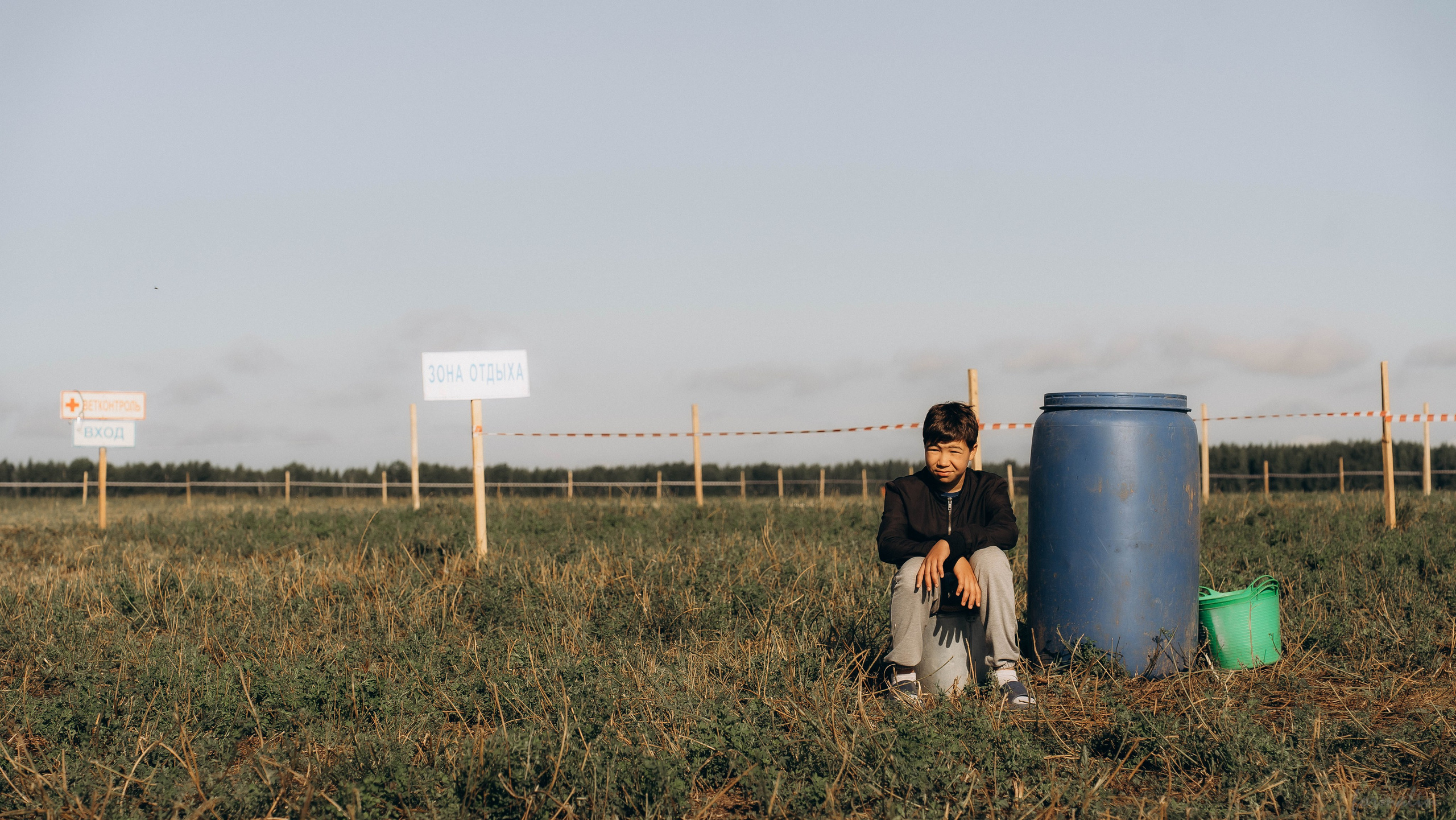 День Коня. Алиса Никитцова | Фотограф в Казани