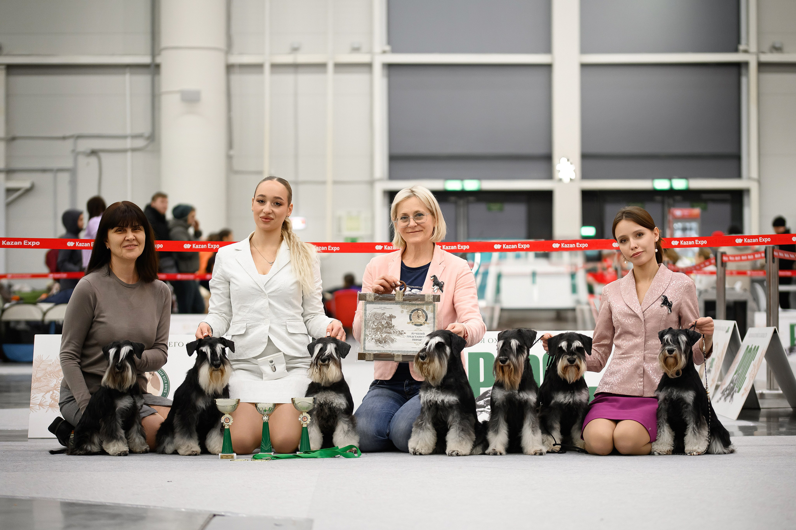 Собаки. FASHION ФОТОГРАФ КАЗАНЬ