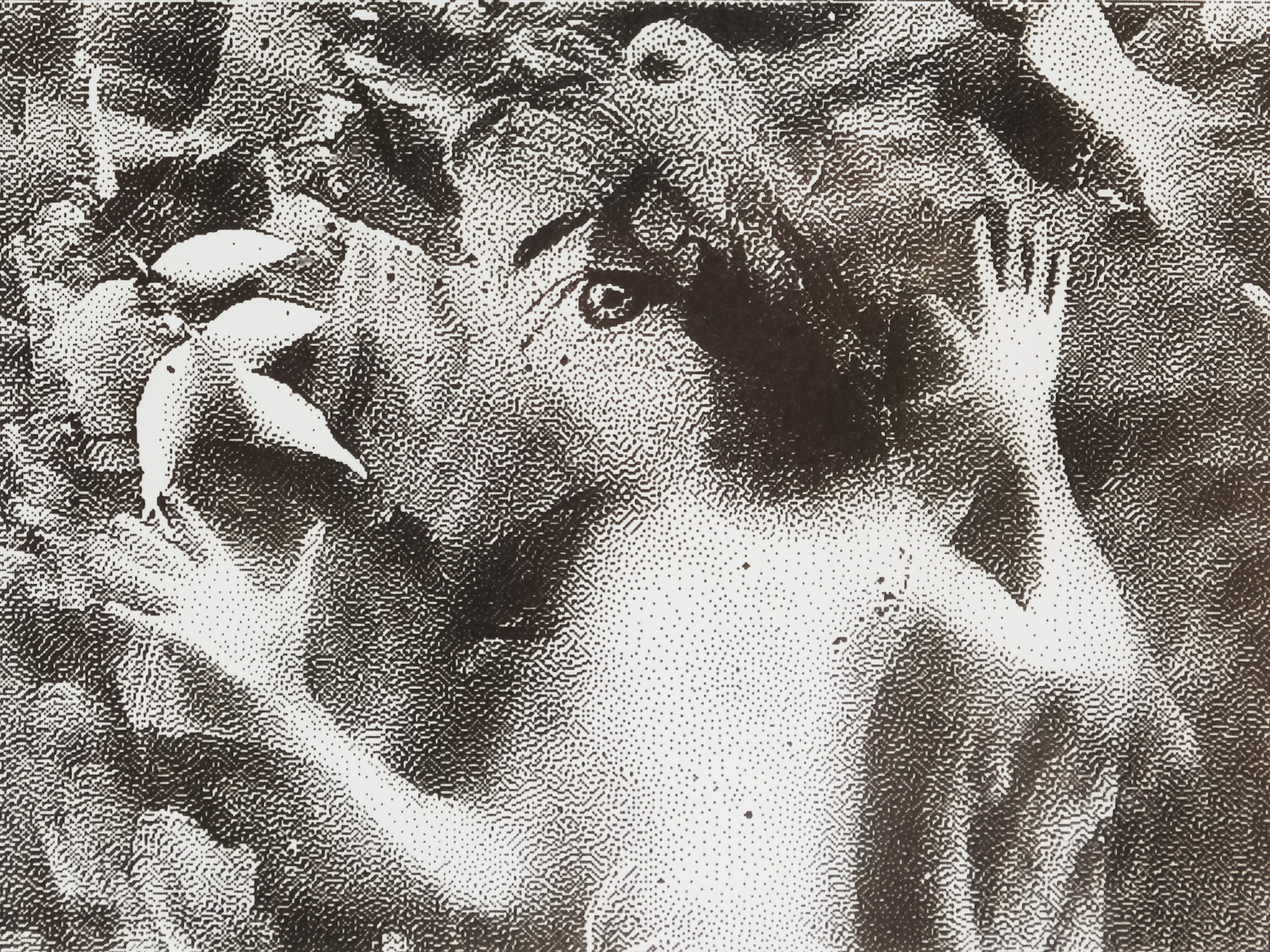 Осколки ужаса. Мария Завьялова | фотограф и преподаватель фотографии