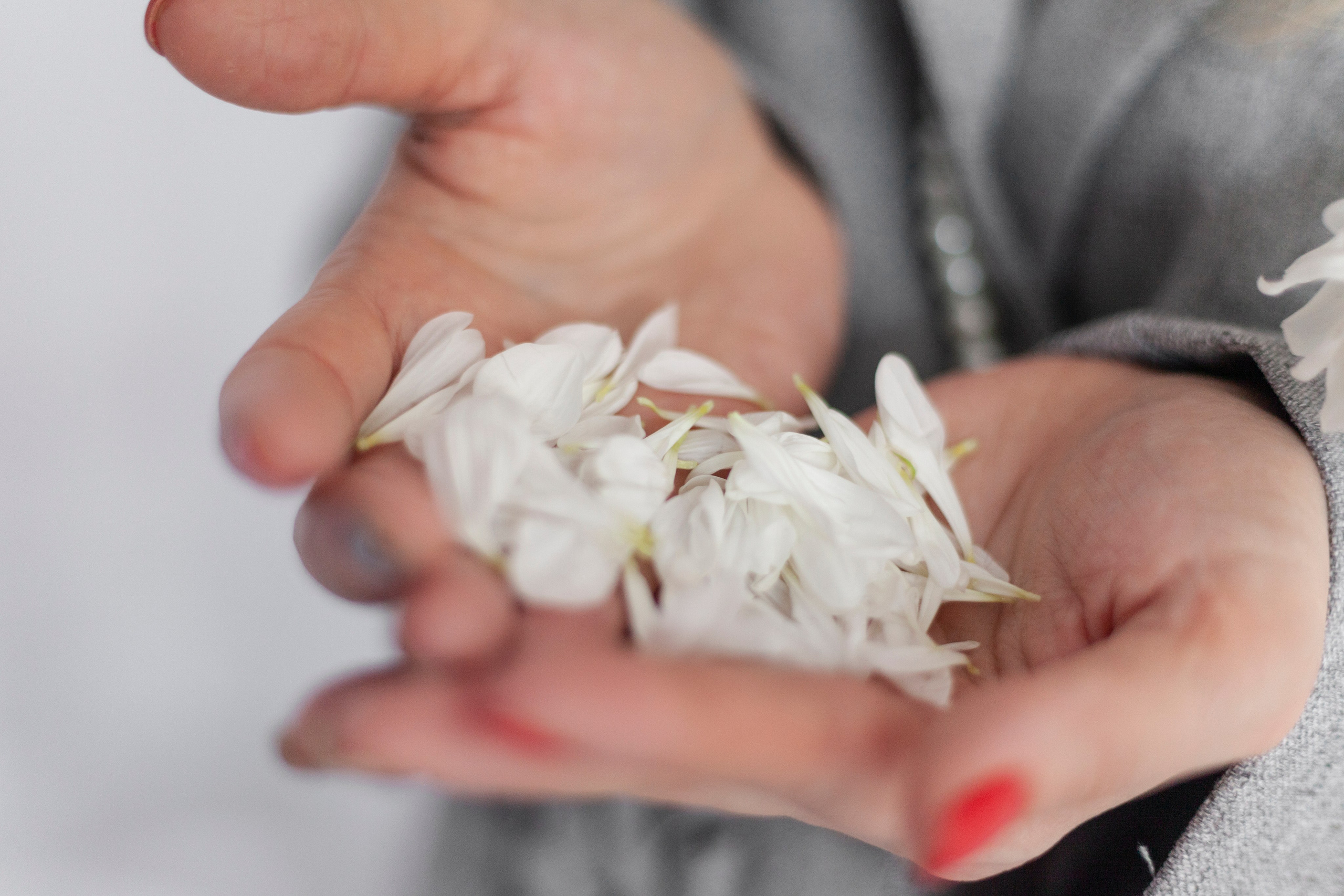 Девочки. PROphoto