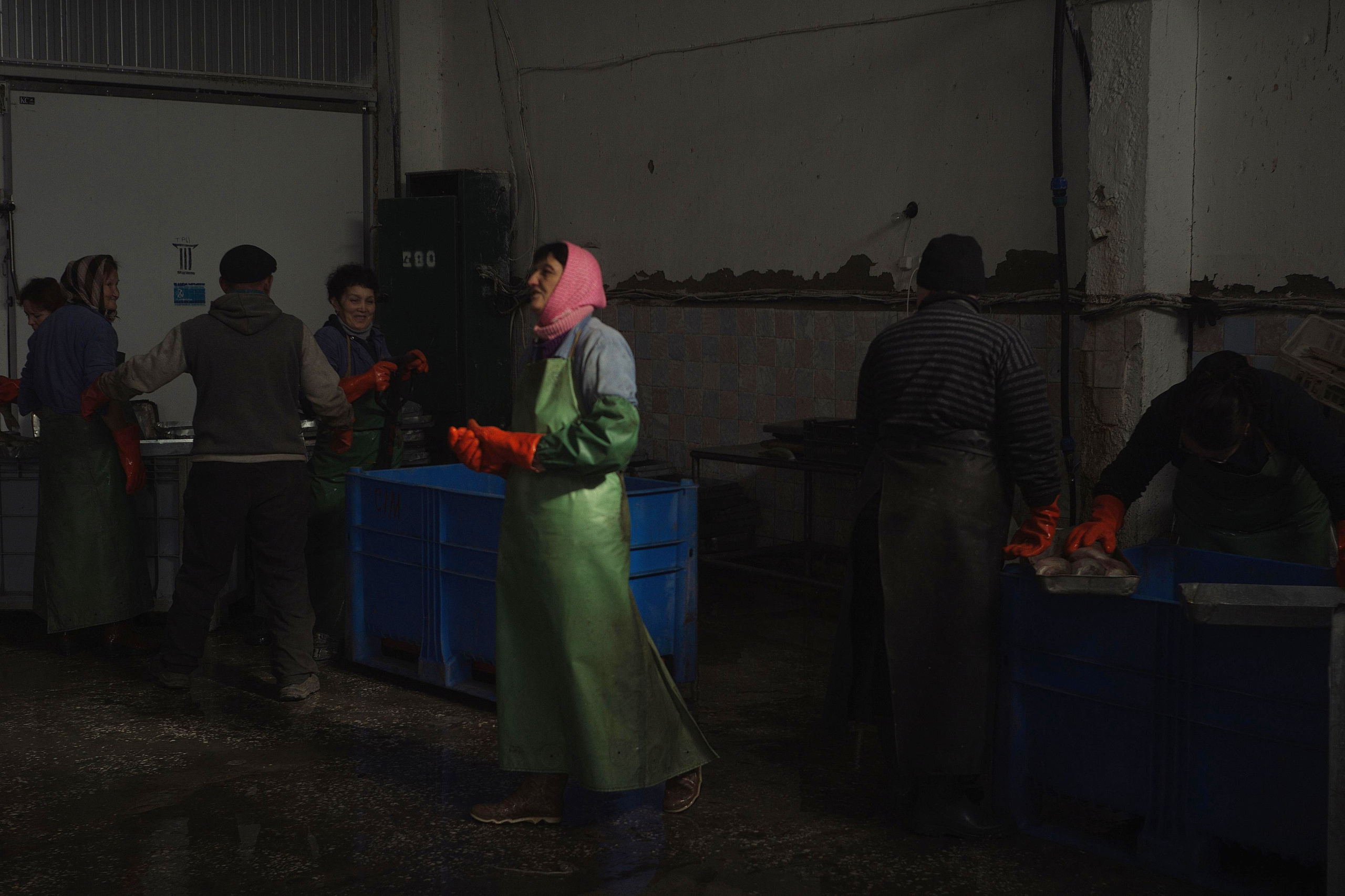 Fish Not Rising. Dmitry Ermakov. Documentary photographer