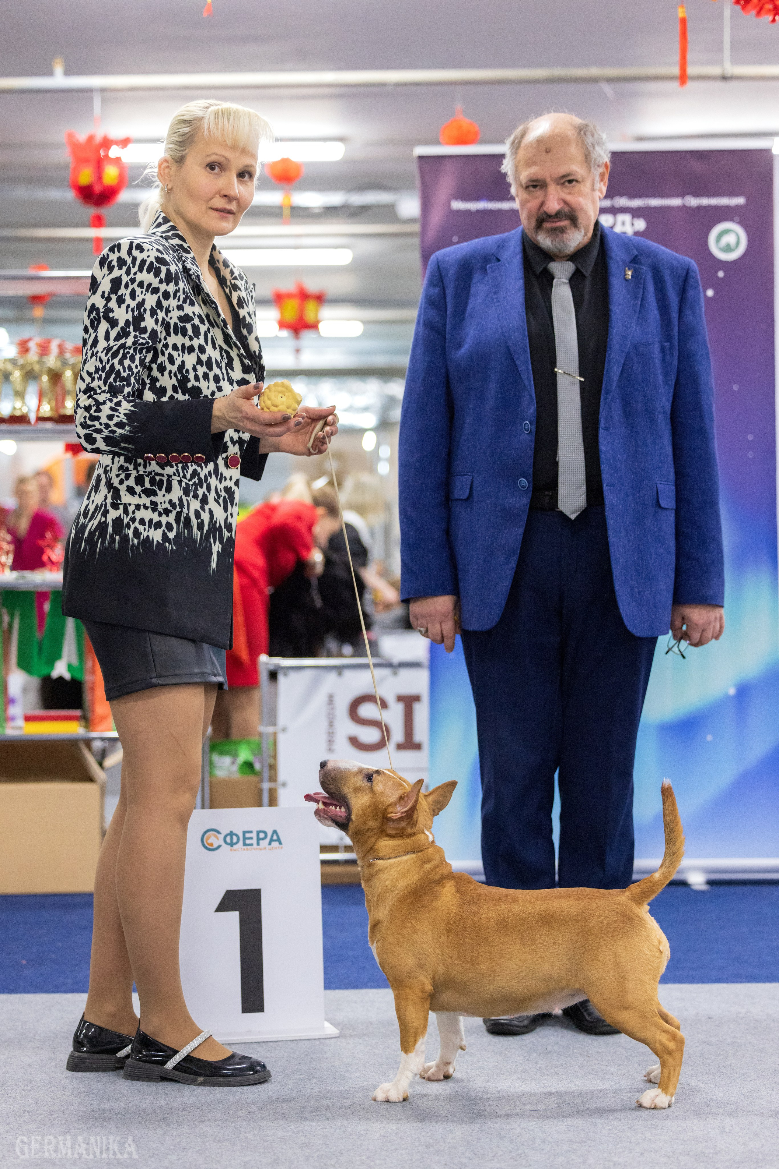 Крокус 10.02,Сфера 11.02.2024. Фотограф-анималист Юлия Германика