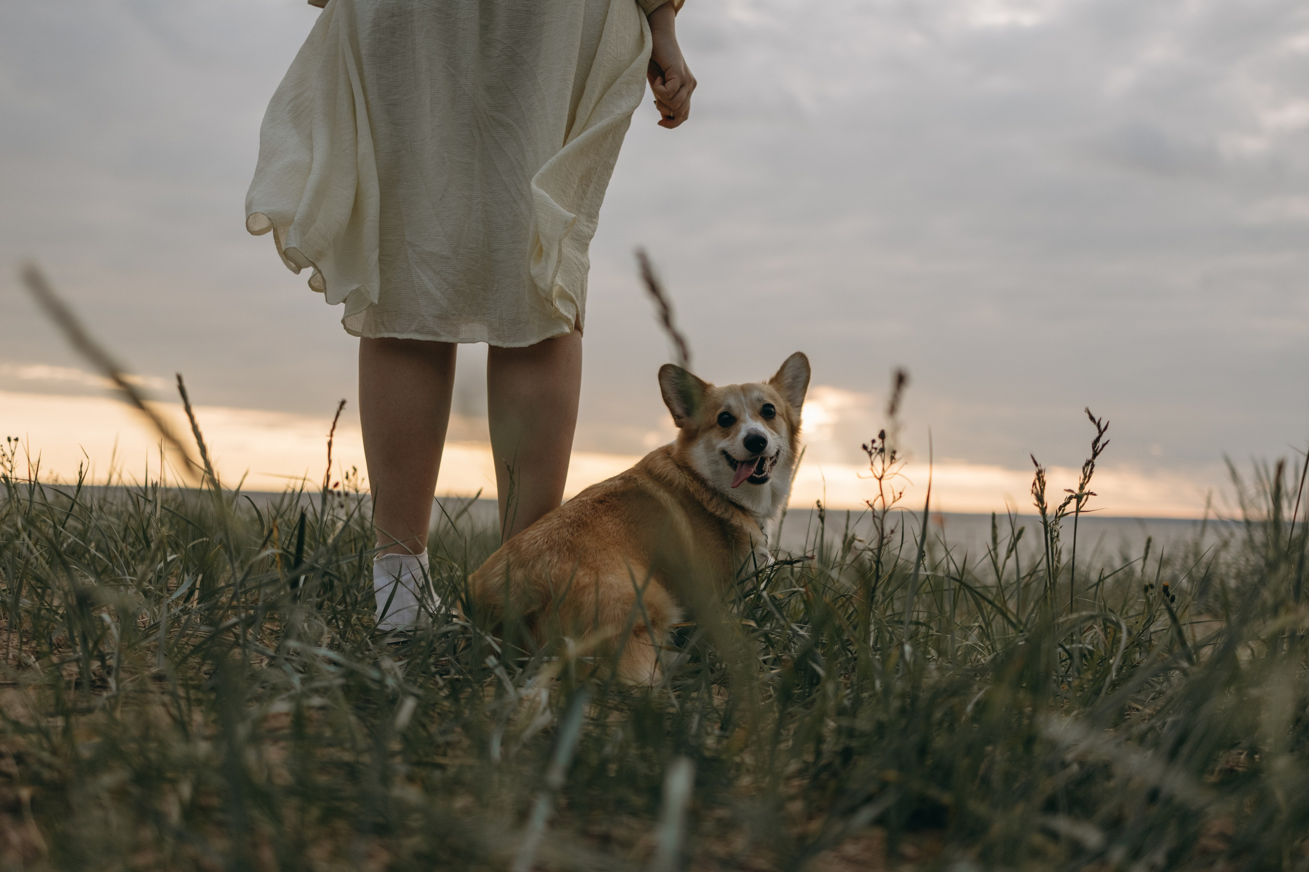 Лотти и ее семья. Фотограф — Анималист | Санкт-Петербург