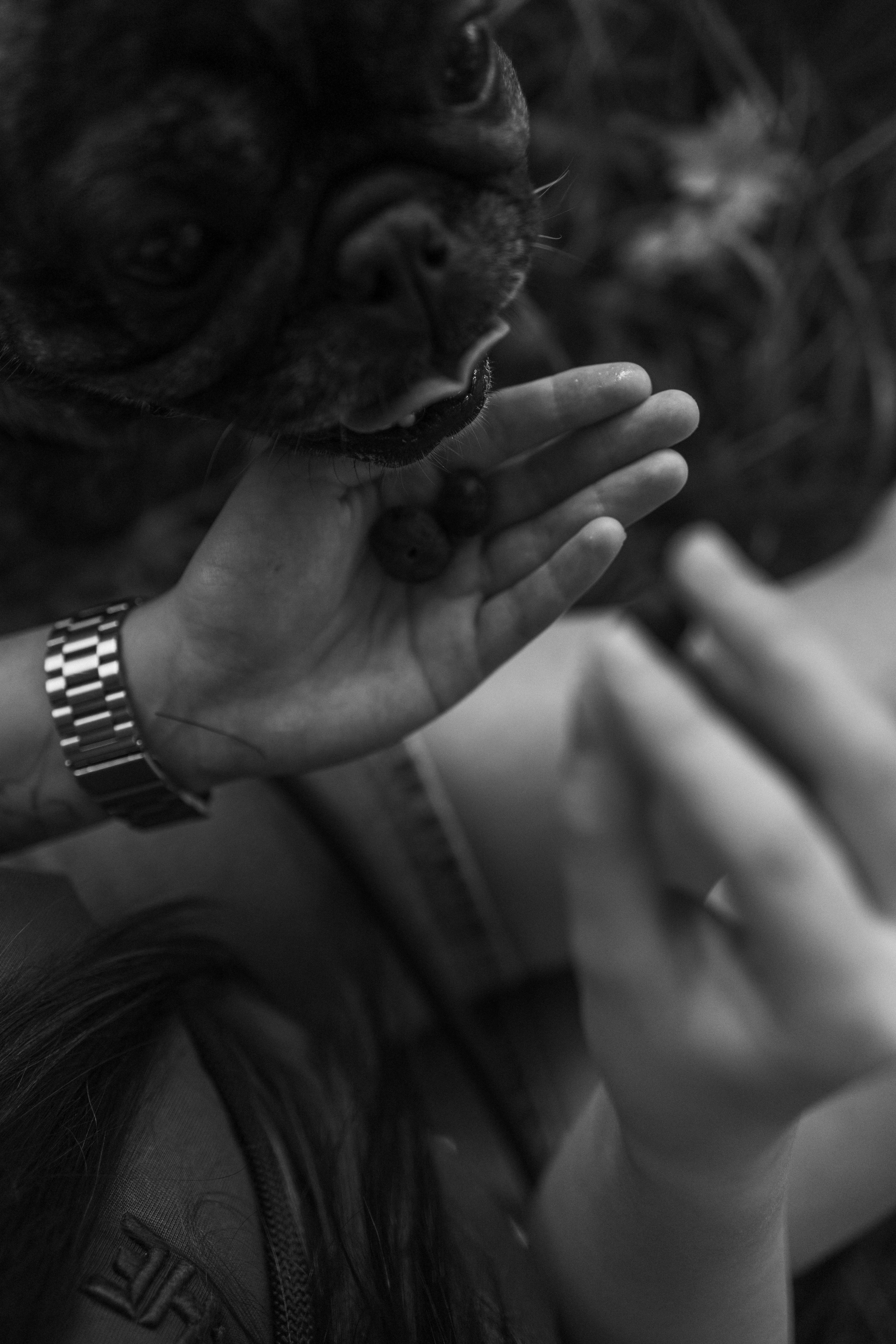 Олеся и Луи. Фотограф — Анималист | Санкт-Петербург