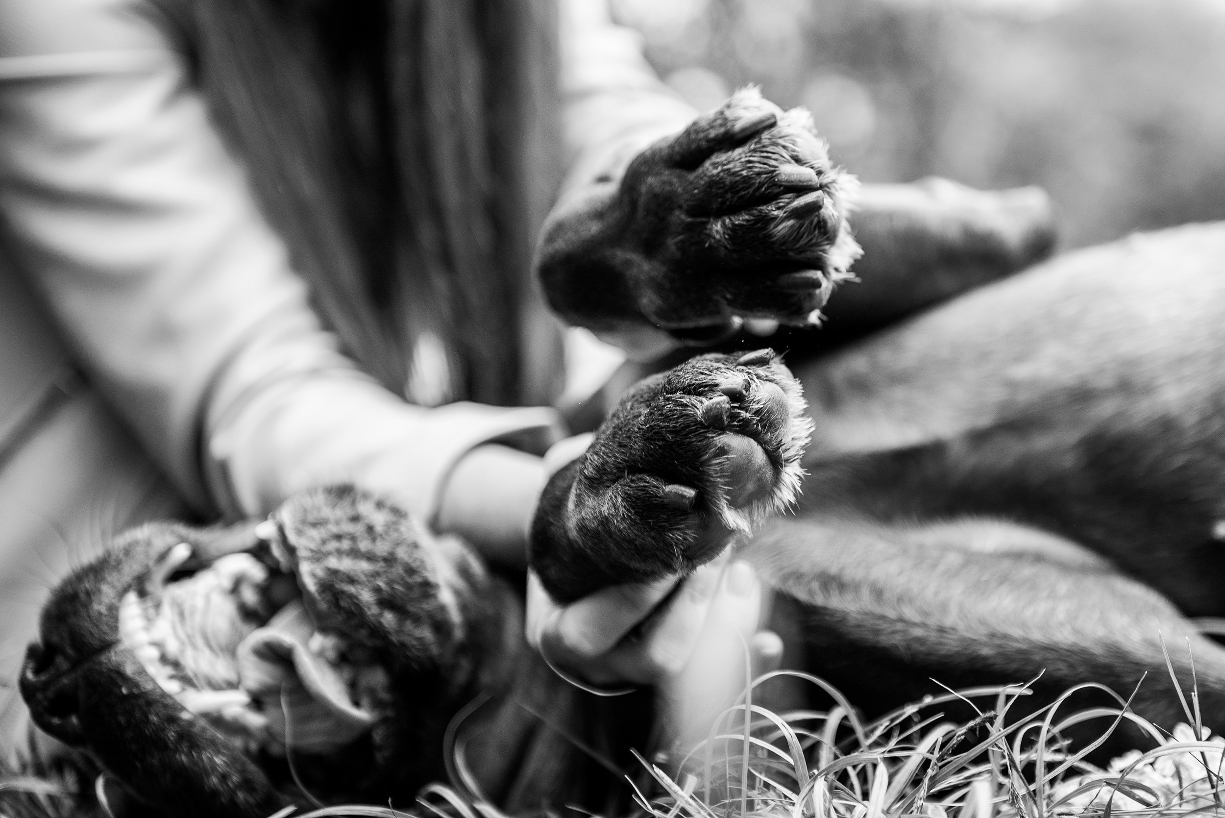 Кристина и Тея. Семейный Фотограф в Москве Ирина Хохлова