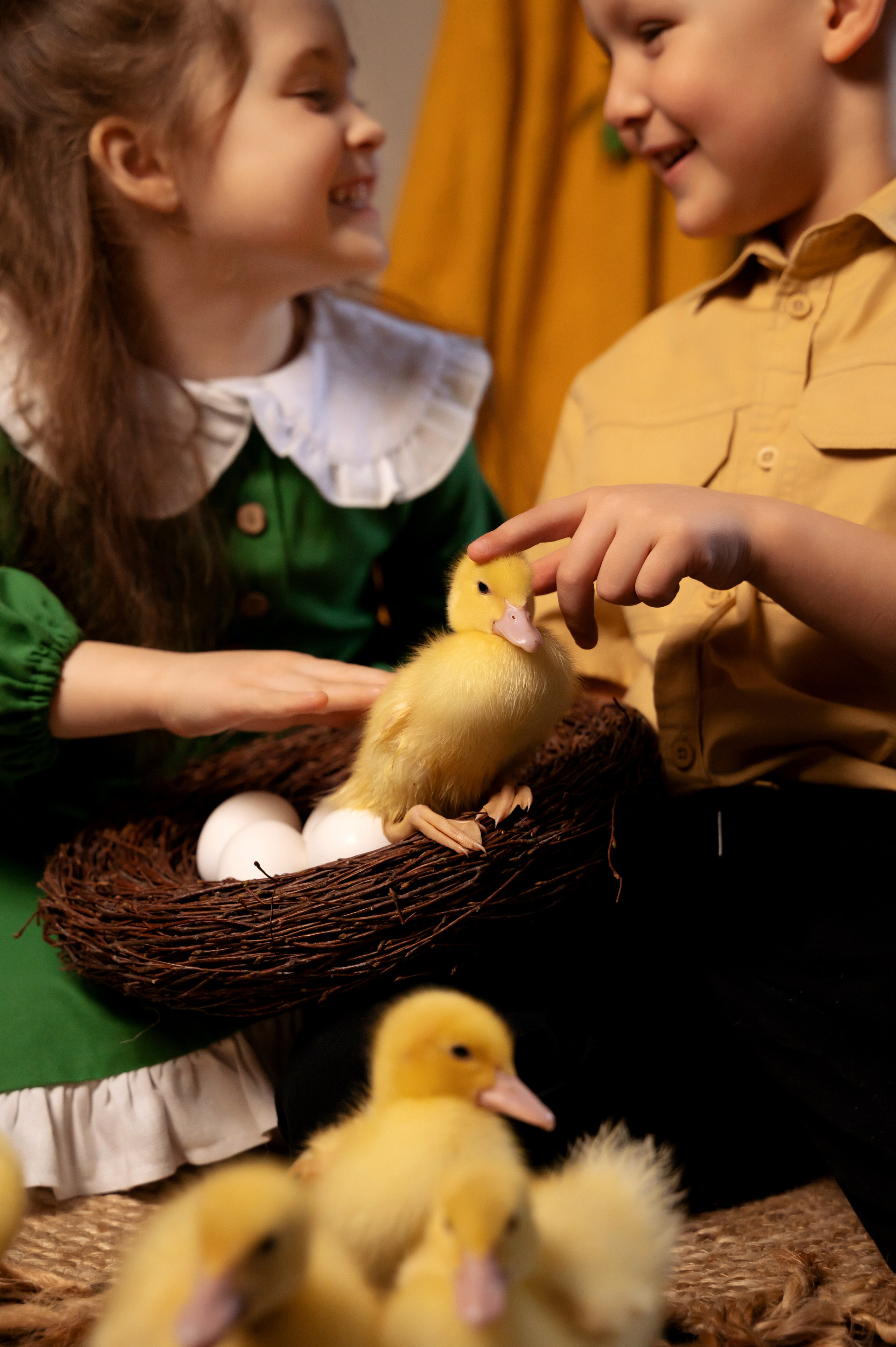 Купание утят. Елена Задорина