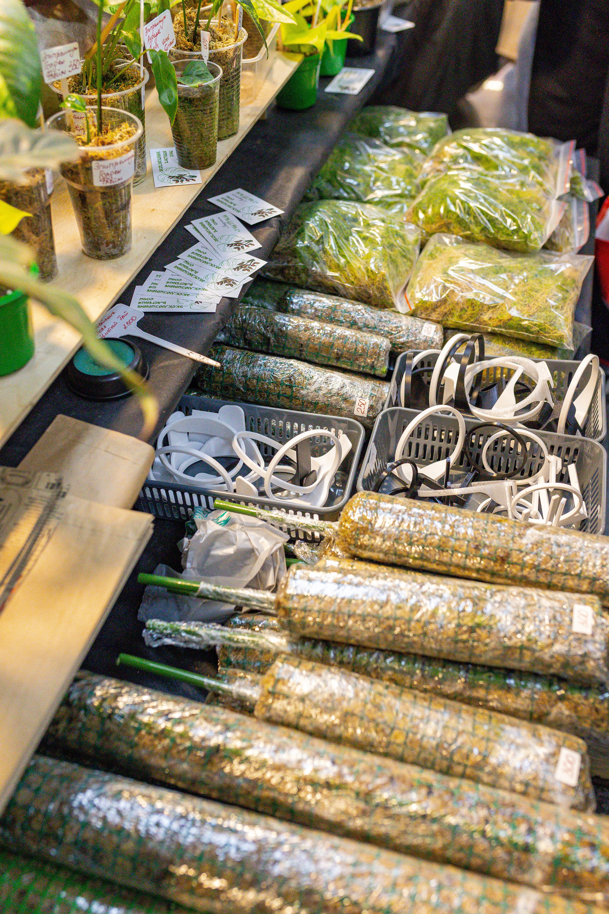 Монстериум апрель 2026. Александра Куликова фотограф, Москва