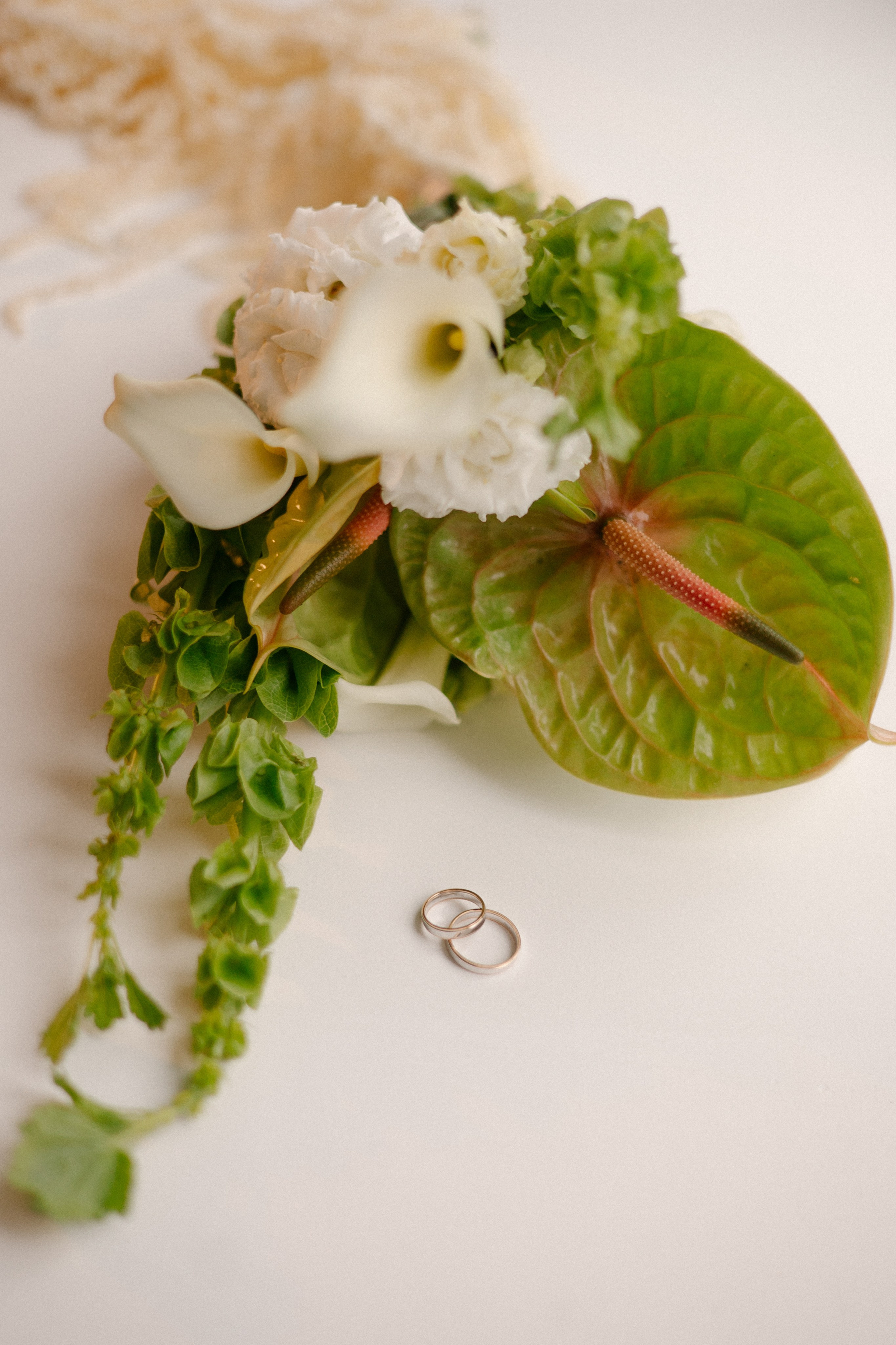 Р & М. Фотограф Тверь Москва Елизавета Рапутина