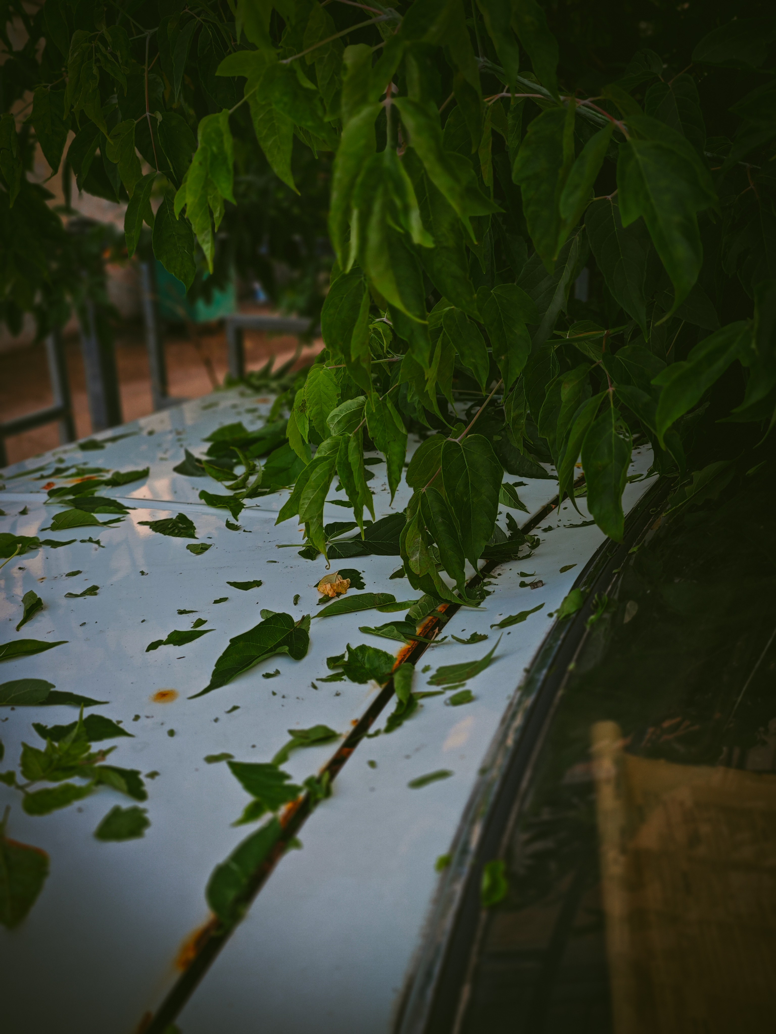 Тихий финиш. Игорь Урывский. Фотограф Красноярск