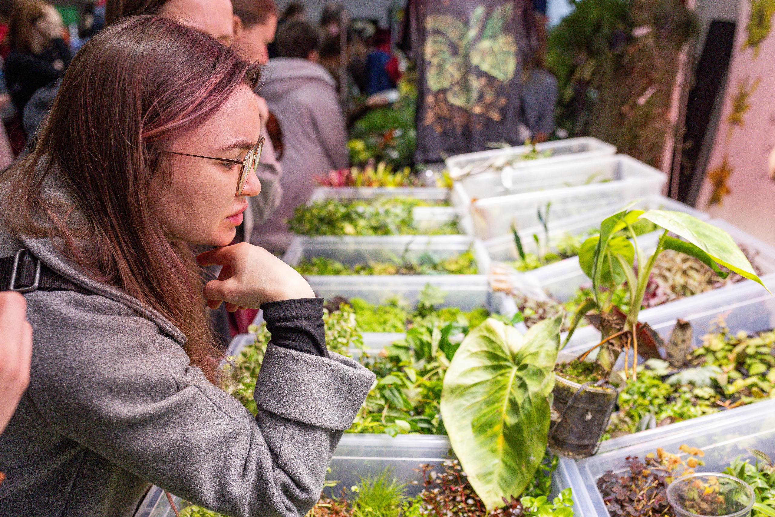 Монстериум апрель 2025. Александра Куликова фотограф, Москва