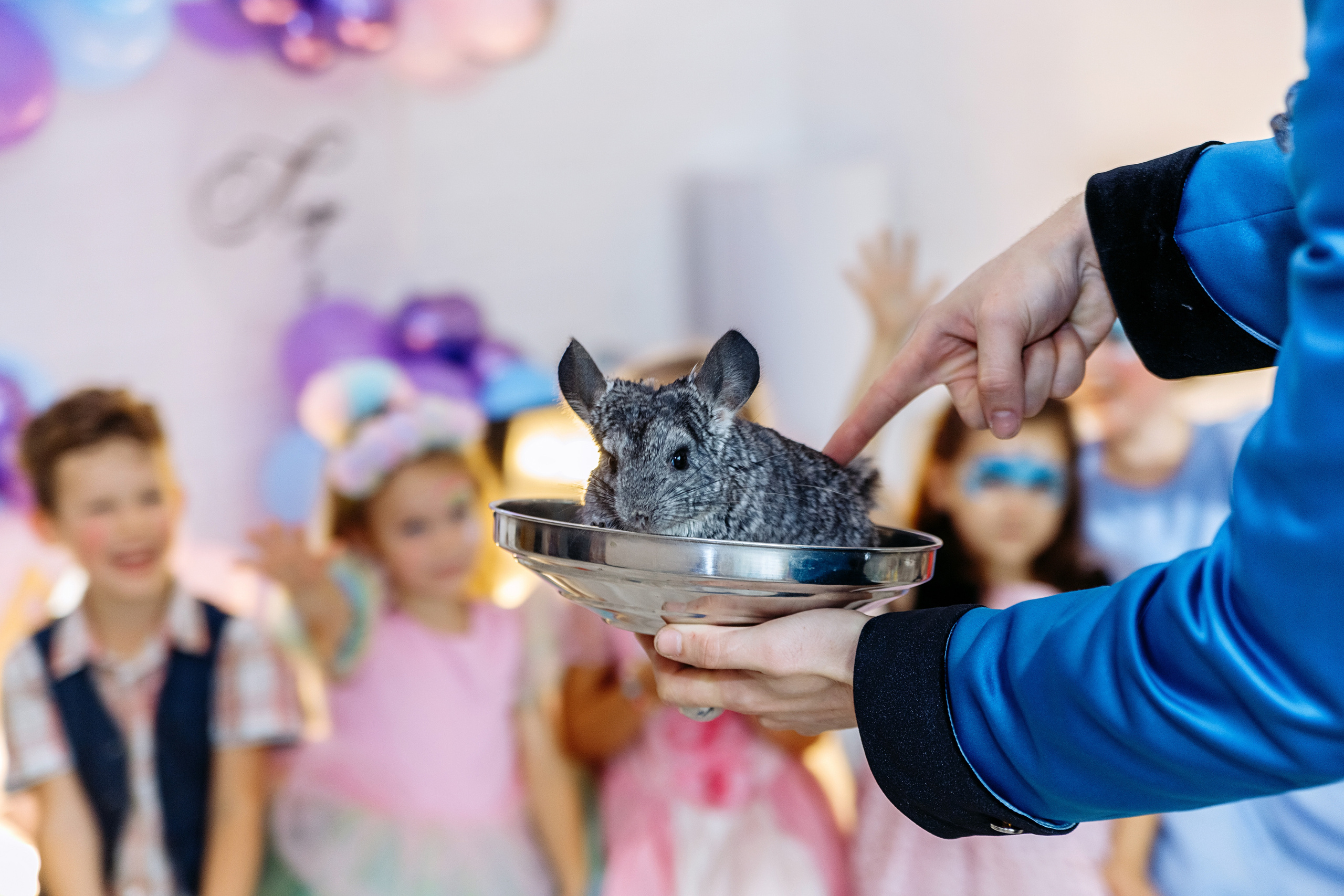 Лизе 5 лет!. Elena Sova — семейный и женский фотограф в Санкт-Петербурге