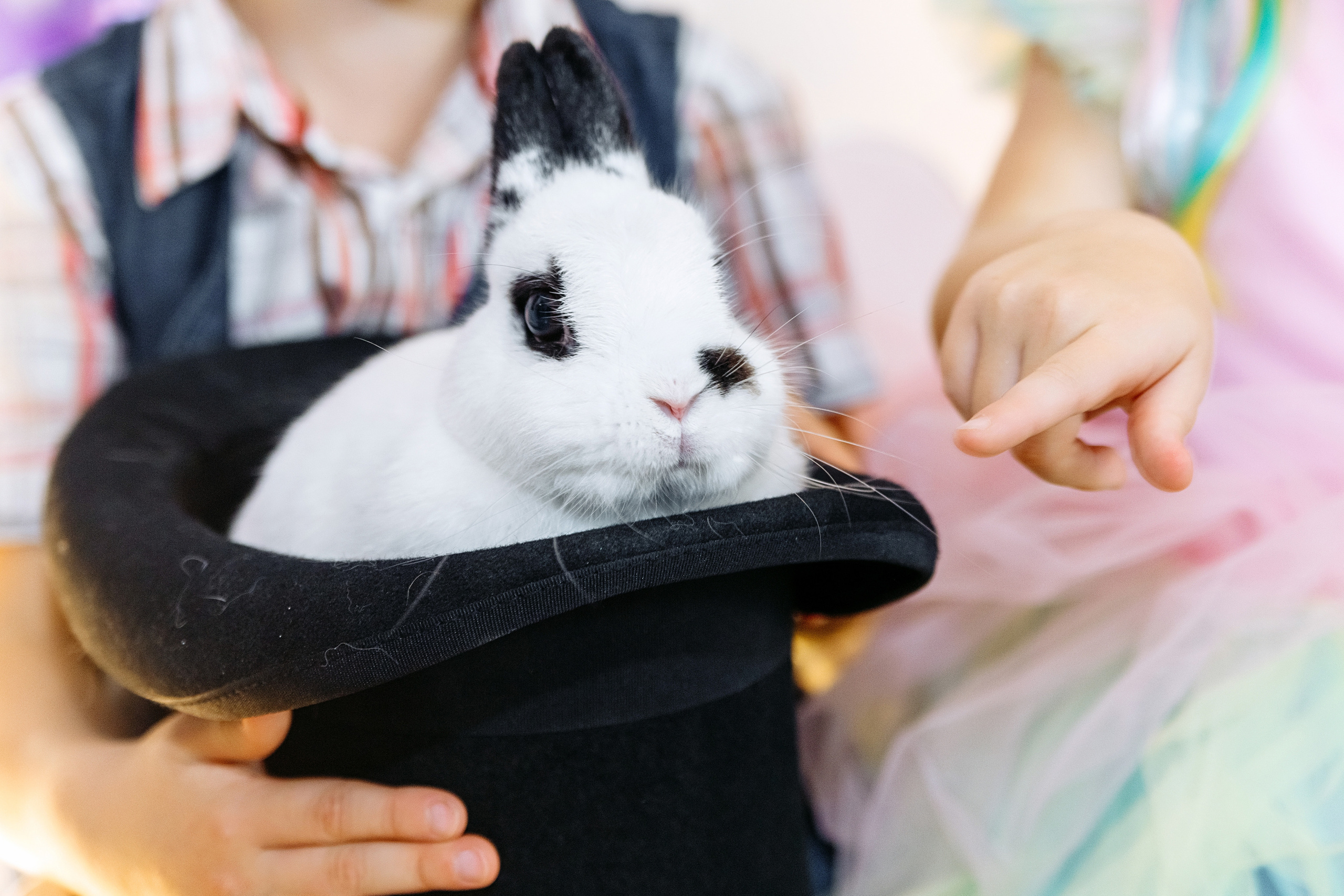 Лизе 5 лет!. Elena Sova — семейный и женский фотограф в Санкт-Петербурге