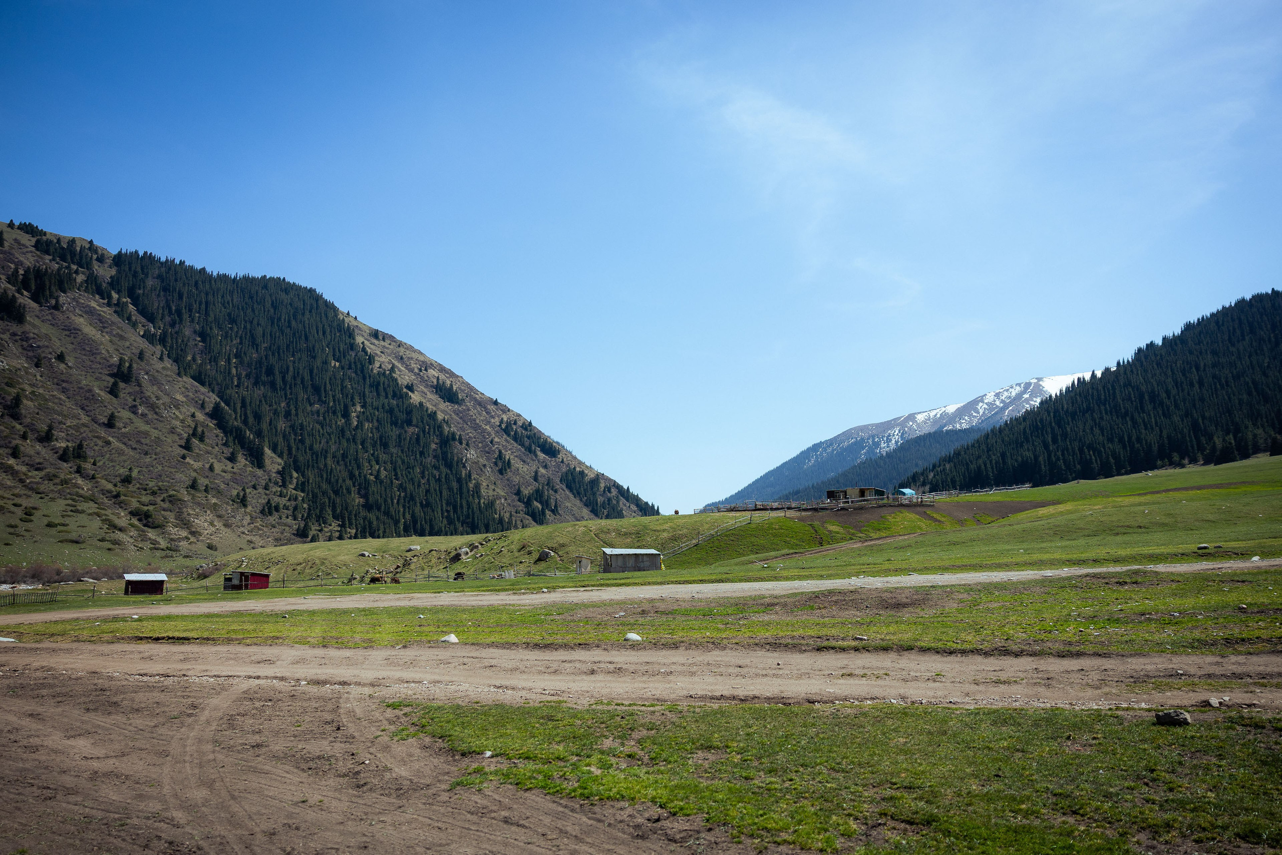 Кыргызстан (весна 2025). Фотограф Виноградов Константин